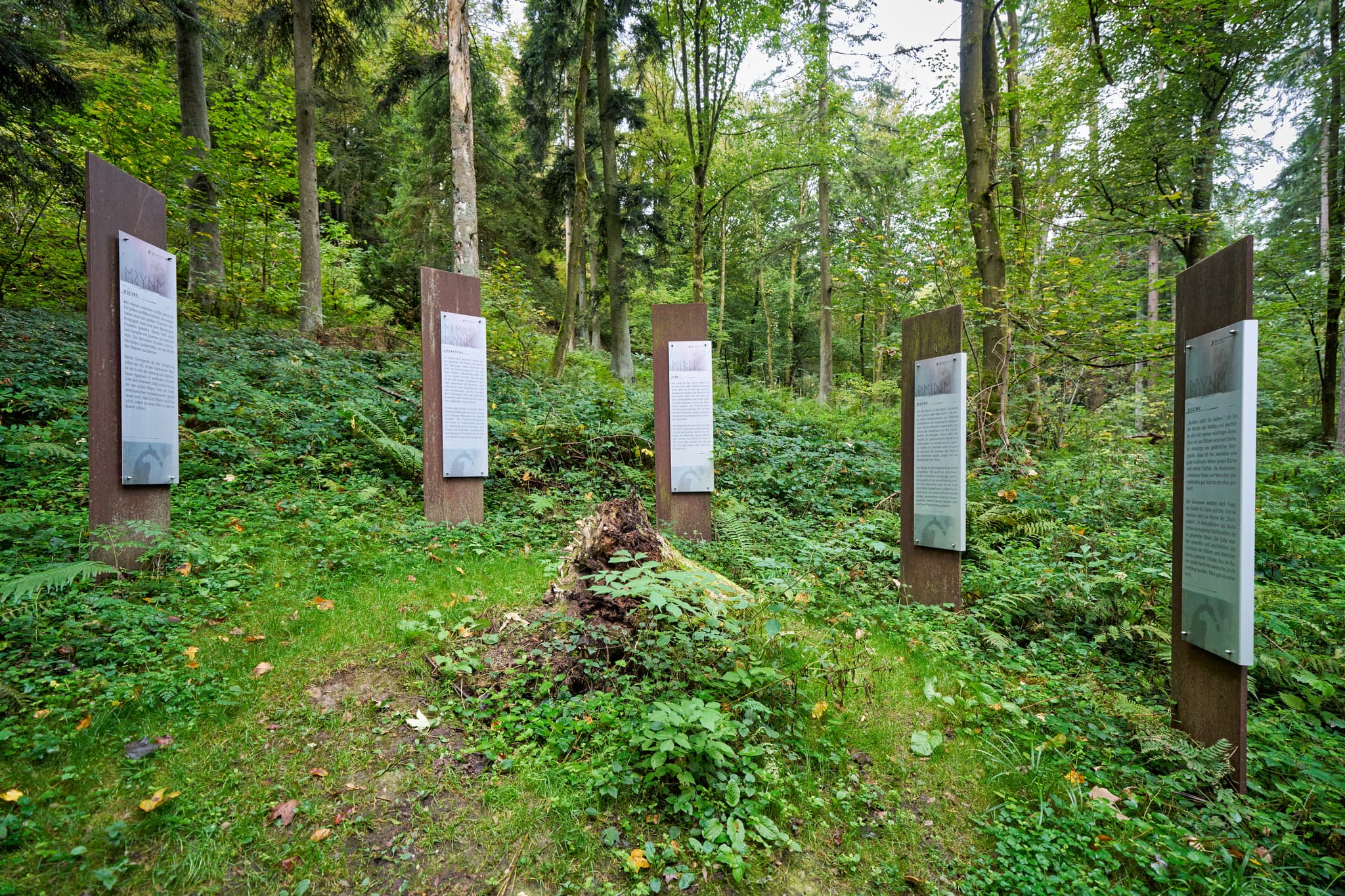 Baumerklärunggen an der Waldwunderwelt in Bad Griesbach, Landkreis Passau, Niederbayern, Bayern. Das Bild zeigt einen Waldweg mit mystischen Steinen.