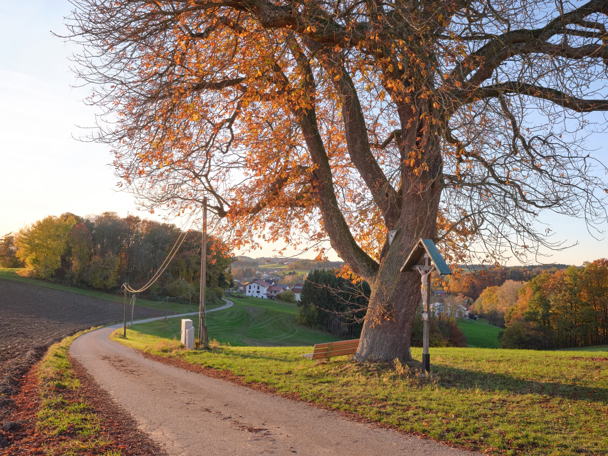 Alte Kastanie mit Wegkreuz und Sitzbank in Petzlberg, Reischach, Altötting, Oberbayern. Inn-Salzach, Deutschland.