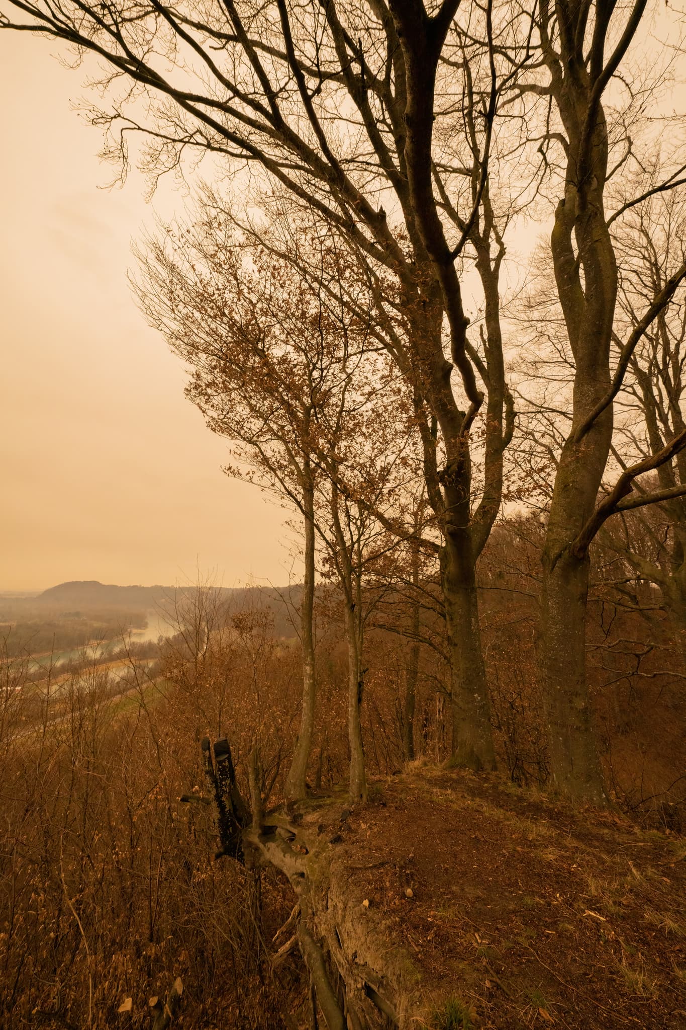Blick von der Marktler Aussicht, Marktl, Altötting, Oberbayern, Inn-Salzach, Deutschland. Bäume am Hang, Talblick. Himmelsfärbung durch Saharastaub.