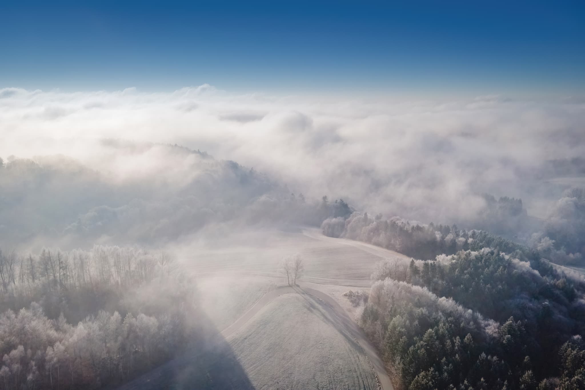 Winterliche Landschaft mit Nebel und Frost in Friesing, einem Ortsteil von Reischach im Landkreis Altötting, Oberbayern, Region Inn-Salzach, Deutschland.