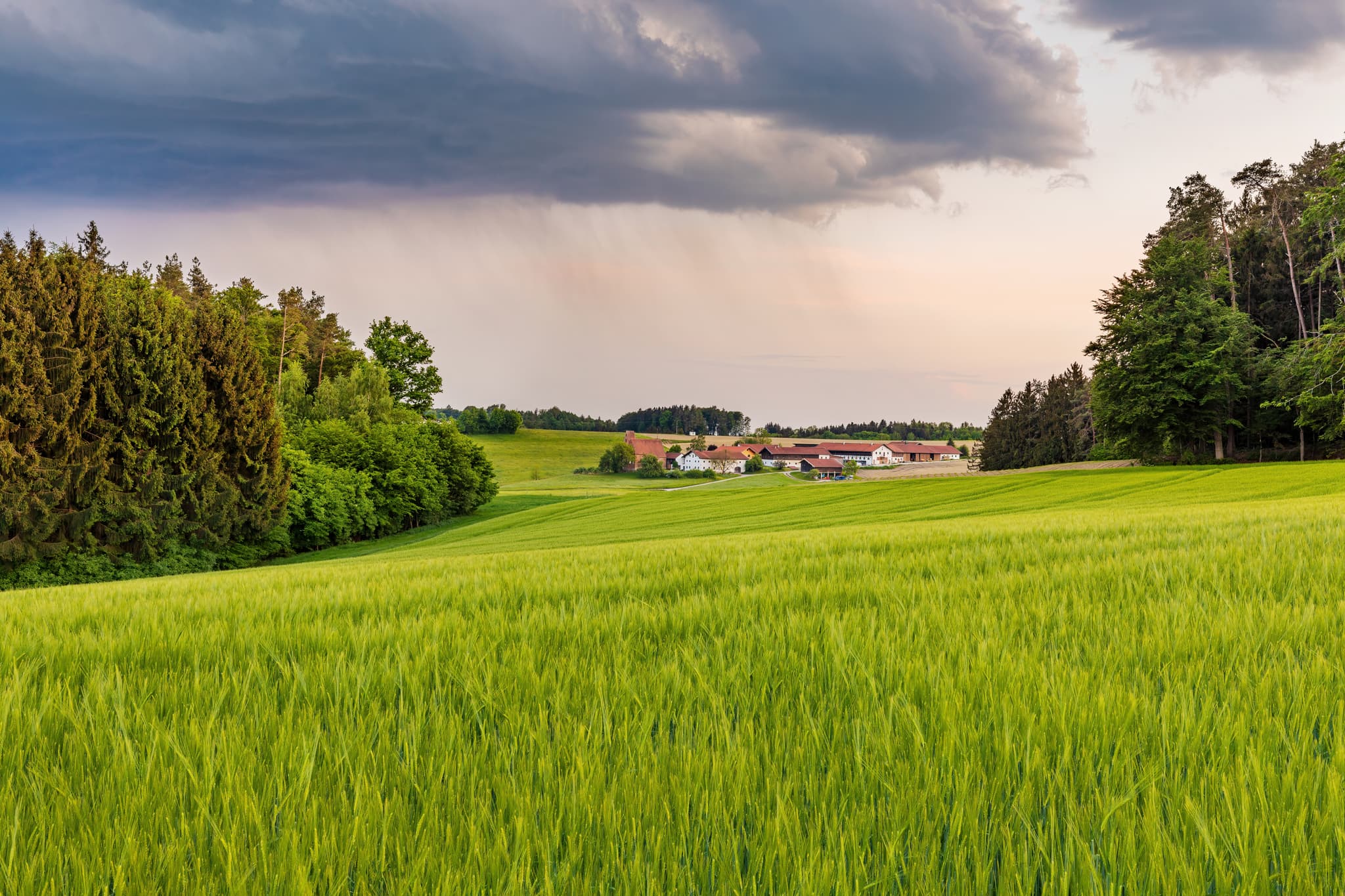 Landschaft bei Berg Regen, Reischach, Altötting: Grüne Felder, bewaldete Hügel. Ein Hof liegt in der Inn-Salzach Region Oberbayerns.