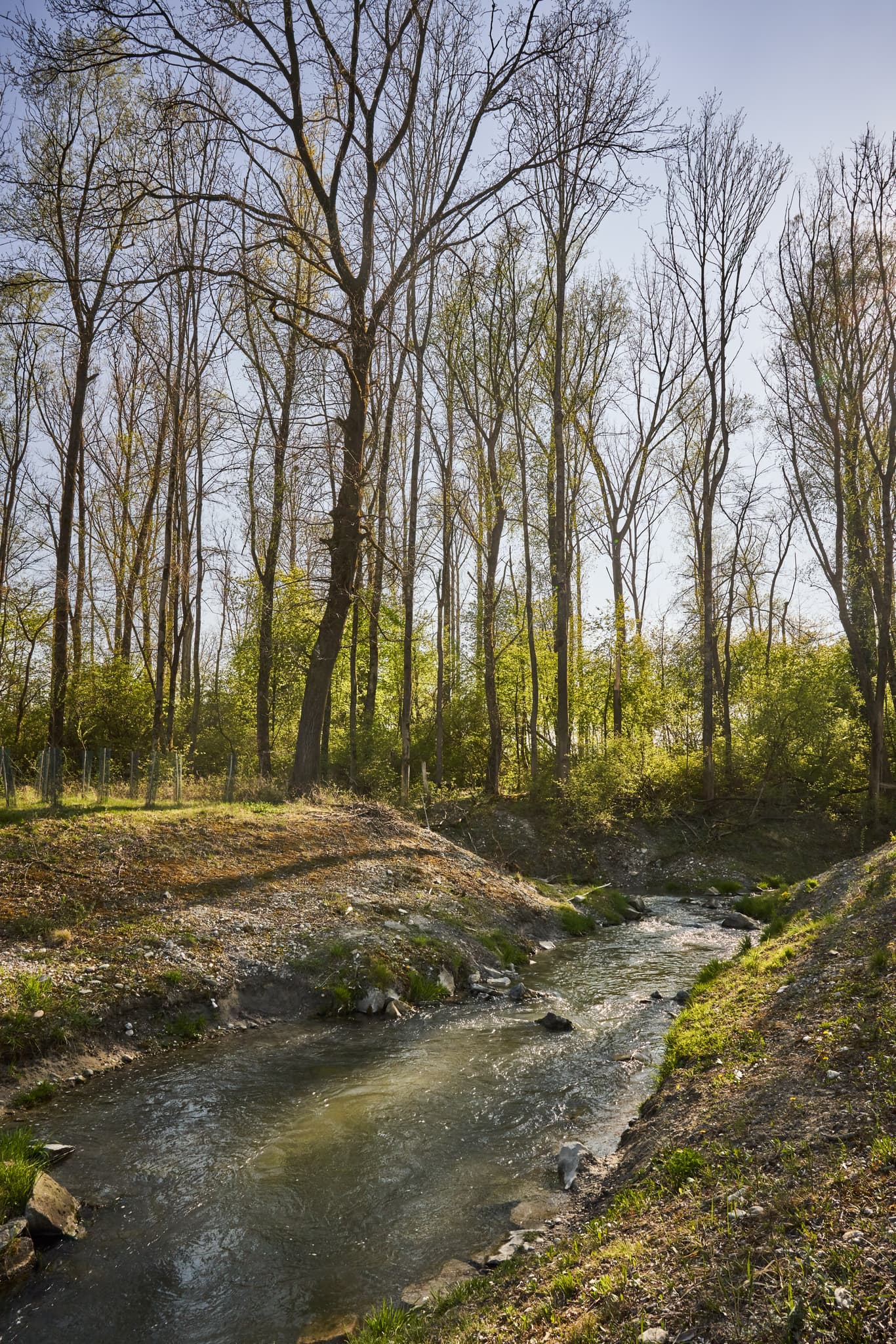 Fischtreppe am Inn Kraftwerk in Stammham, Altötting, Oberbayern. Ein Bach fließt durch Wald der Region Inn-Salzach, Deutschland.