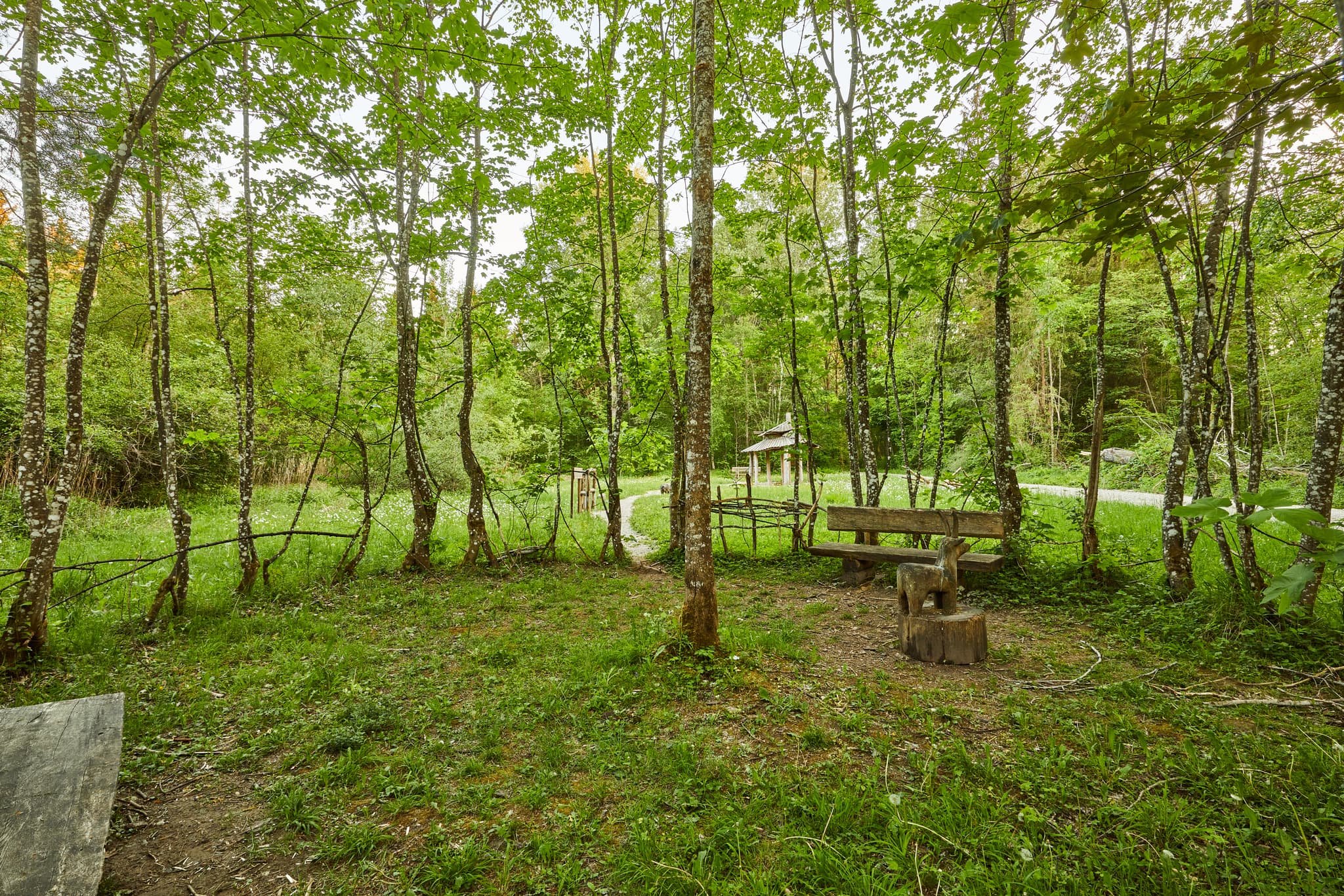 Walderlebnispfad Alz Au in Klosterau bei Mehring, Landkreis Altötting, Oberbayern. Grüne Landschaft im Inn-Salzach-Gebiet, mit Holzbank und Bäumen.