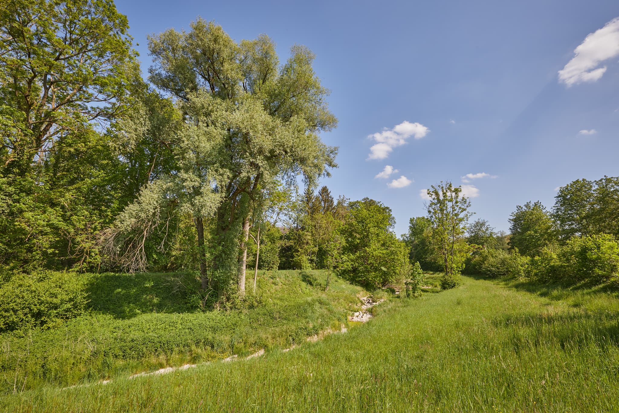 Grüne Wiesen und Bäume am Burgkirchen-Hirten Alz Radweg in Burgkirchen, Altötting, Oberbayern. Idyllische Naturkulisse der Region Inn-Salzach, Deutschland.