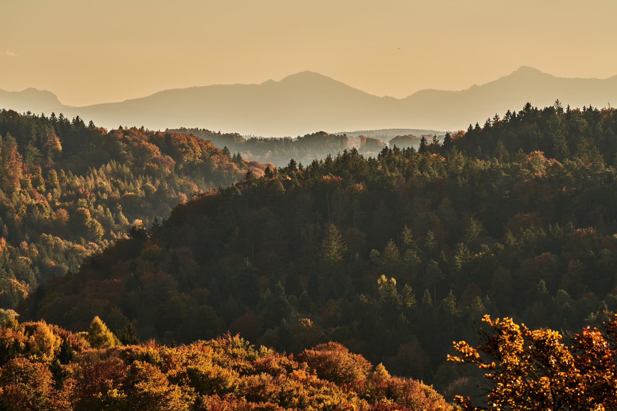 Panorama Salzachblick Pirach in Burgkirchen, Landkreis Altötting, Oberbayern, Inn-Salzach Regioin. Herbst-Waldlandschaft mit sanften Hügeln und Alpenblick.