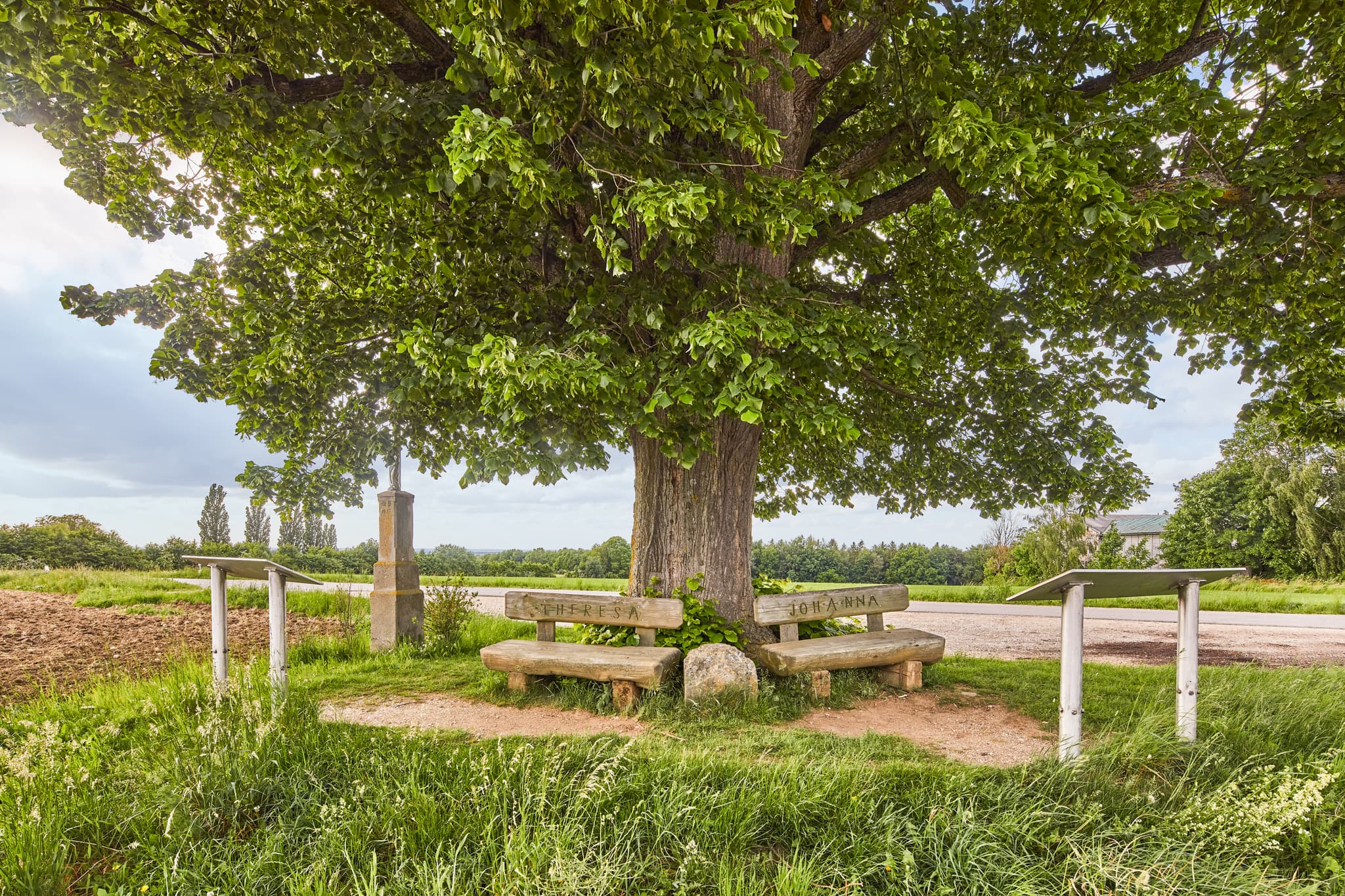 Aussichtspunkt Kobeln in Garching, Altötting, Oberbayern. Ein alter Baum mit Ruhebänken in ländlicher Umgebung. Region Inn-Salzach, Deutschland.
