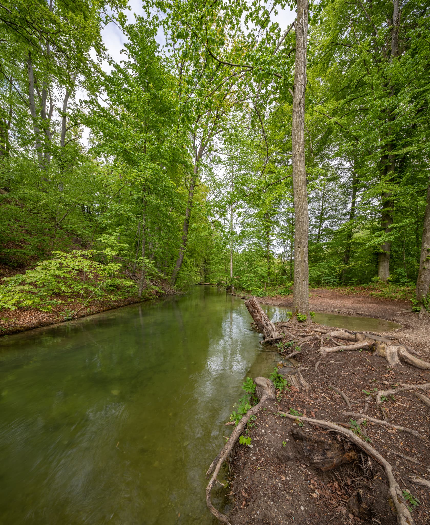 Mühlbach, umgeben von Waldlandschaft im Frühling in Garching, Landkreis Altötting, Oberbayern. Eine naturnahe Szene in der Region Inn-Salzach, Deutschland.