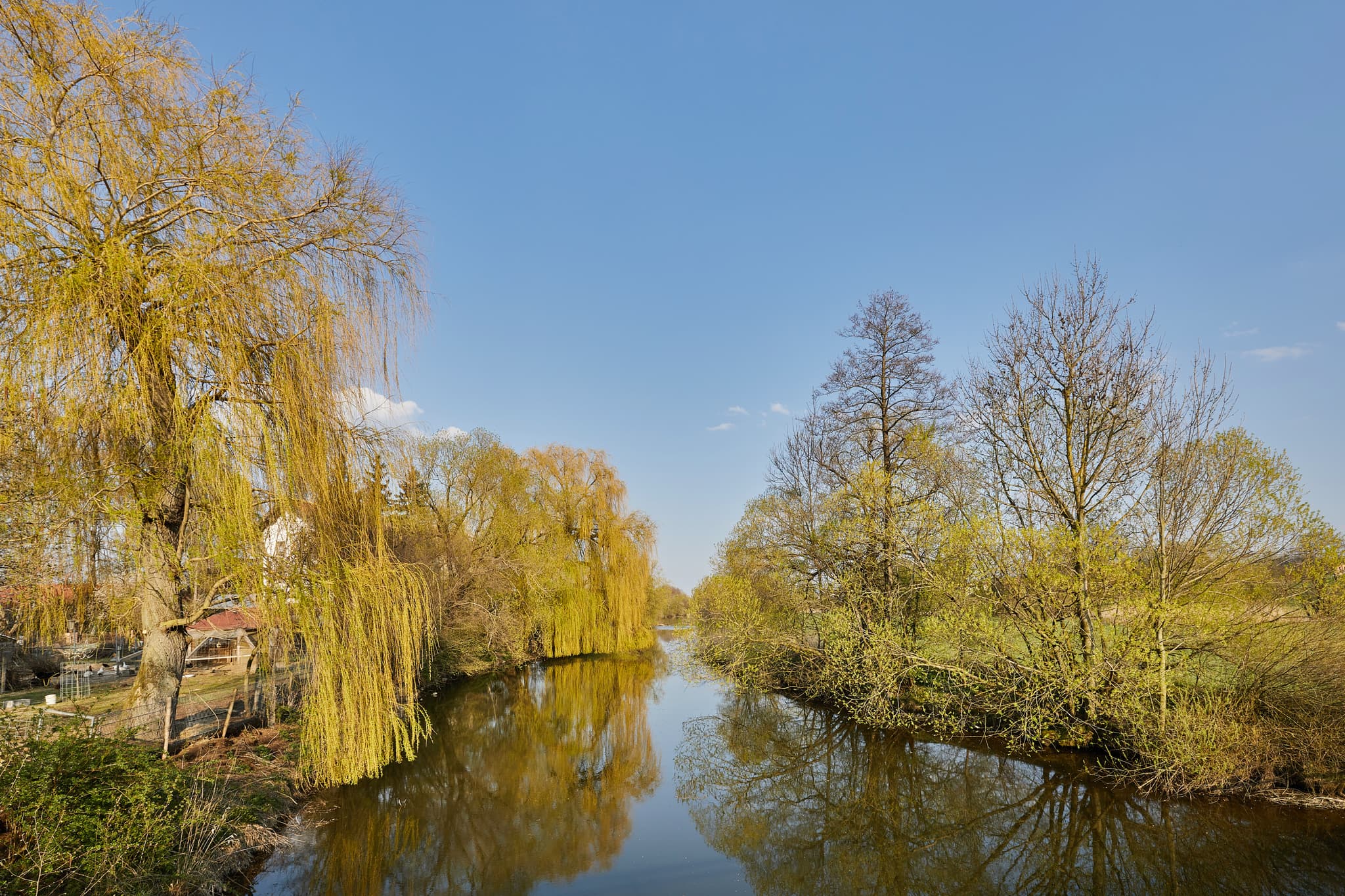 Landschaftliche Aufnahme der Rott mit Weidenbäumen in Oberdietfurt, Gemeinde Massing. Landkreis Rottal-Inn, Niederbayern, Region Holzland, Deutschland.