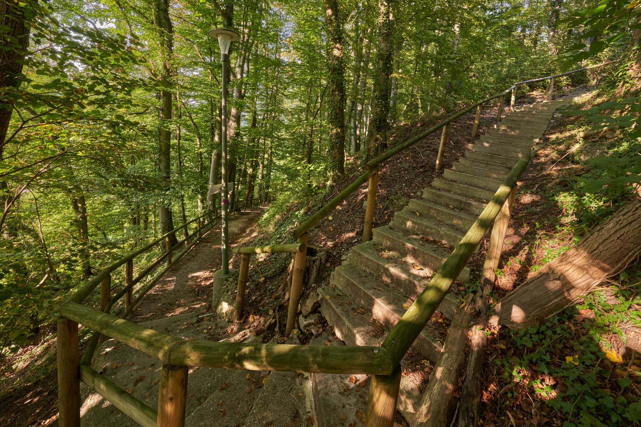 Ein Waldweg mit Treppen und Holzgeländer führt durch die grüne Natur in Margarethenberg bei Burgkirchen, Landkreis Altötting, Oberbayern, Deutschland.