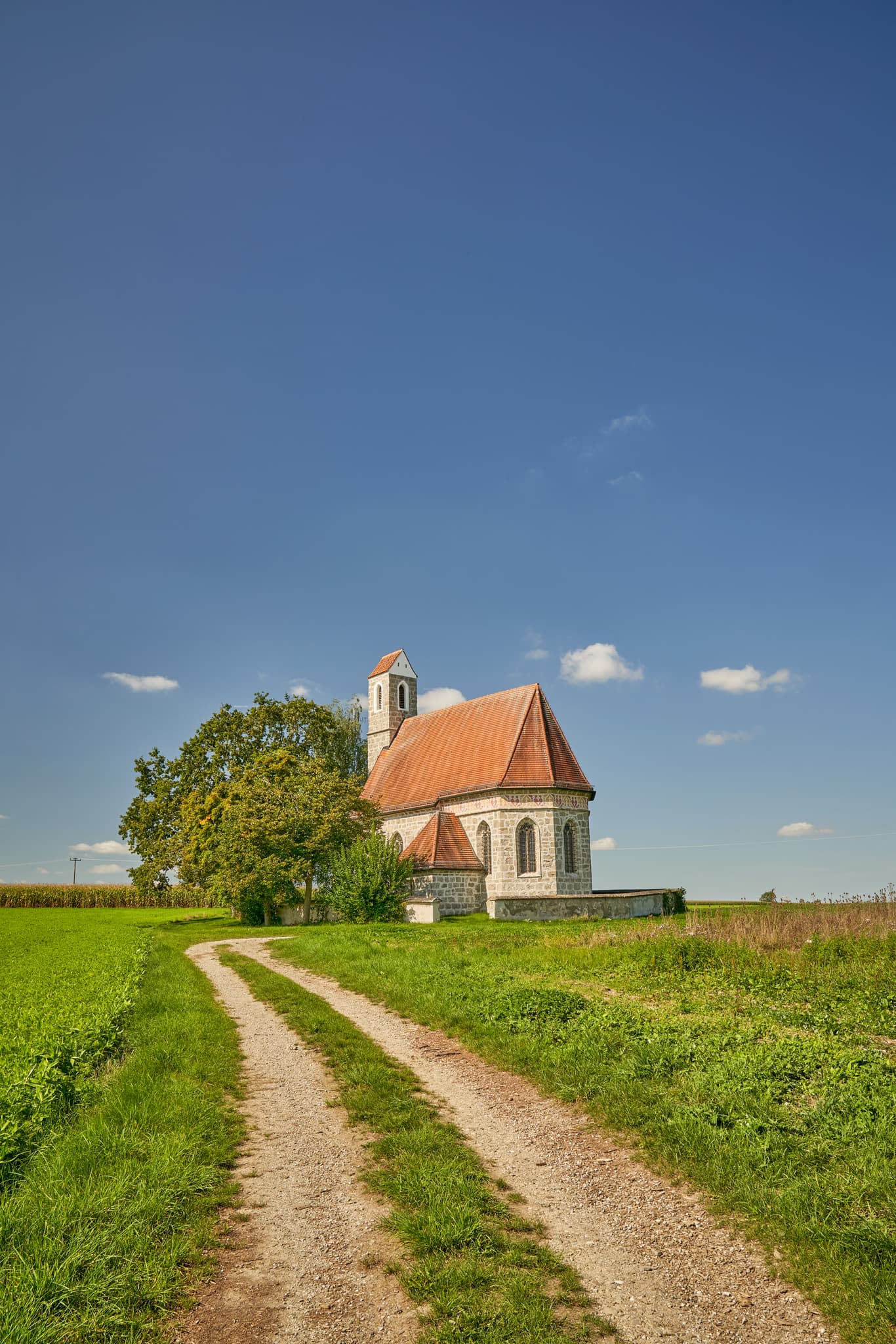 Kirche St. Alban, Peterskirchen, Tacherting, Landkreis Traunstein, Oberbayern. Motiv der Kirche umgeben von Feldern im Chiemgau, Deutschland.