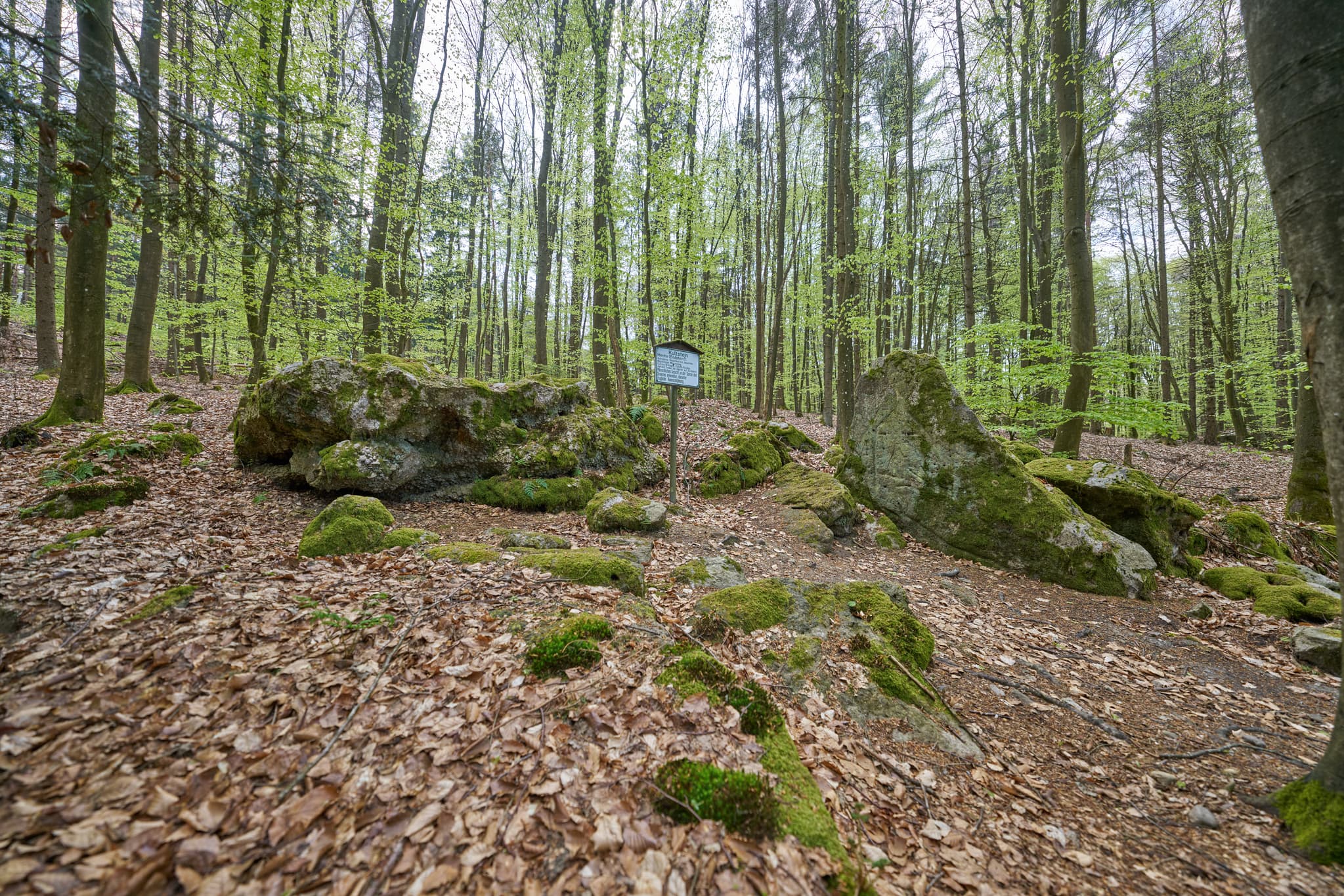 Bild zeigt einen Kultstein im Wald bei St. Salvator, Bad Griesbach, Passau, Niederbayern, Bayern, Deutschland. Der Kultschein ist ein bewachsener Felsen.