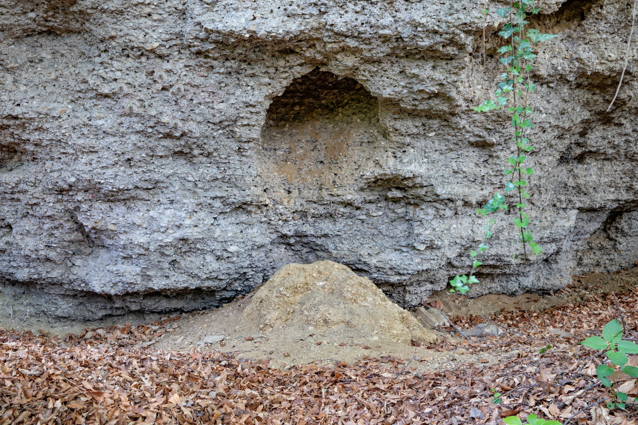 Detail der Geologischen Orgeln in Oberschroffen, Unterneukirchen im Landkreis Altötting, Oberbayern, Inn-Salzach, Deutschland.