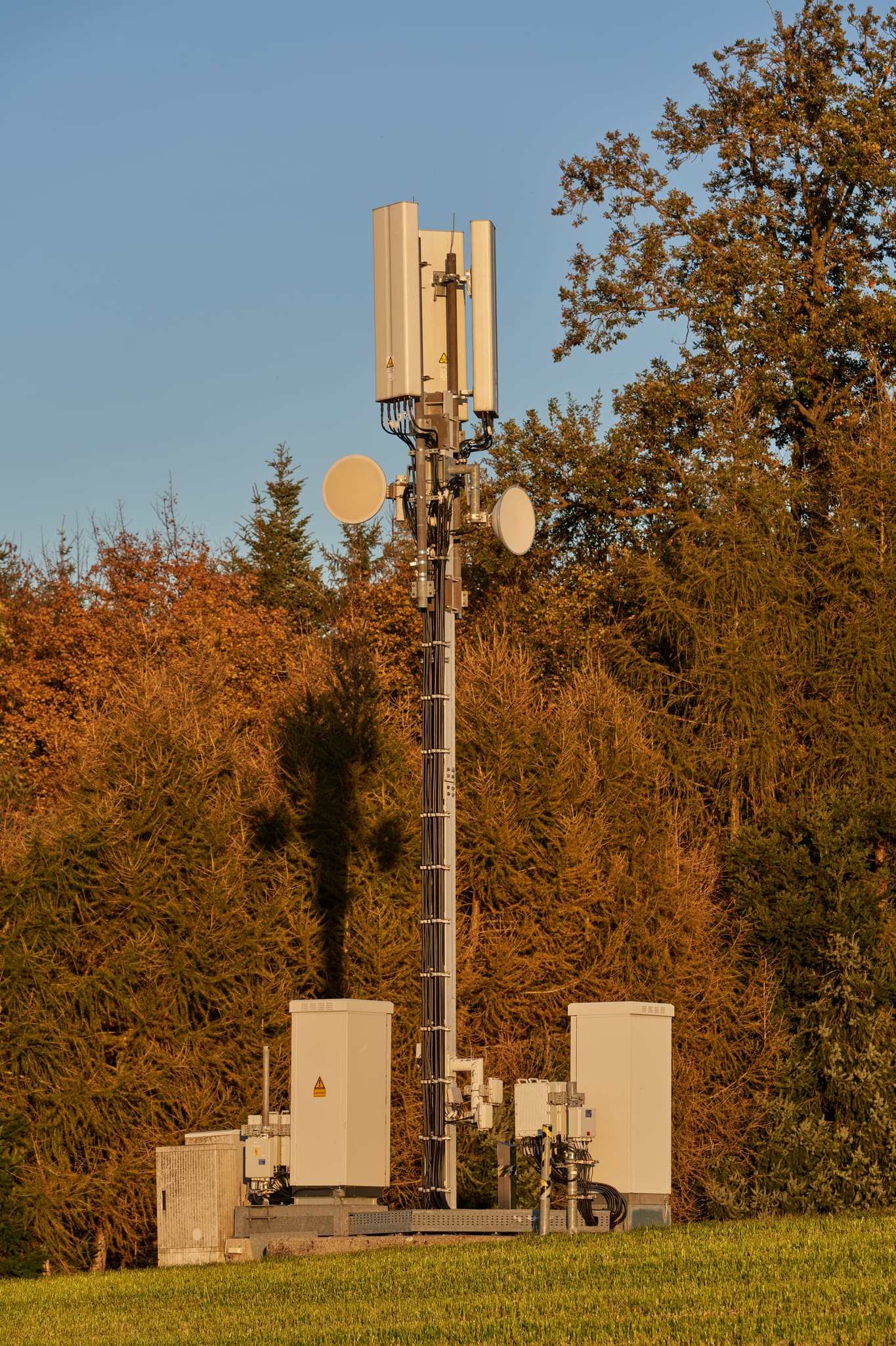 Funkmast an der Rainbichl Linde bei Tyrlaching in Oberbayern. Der Mast steht vor einem herbstlichen Wald.