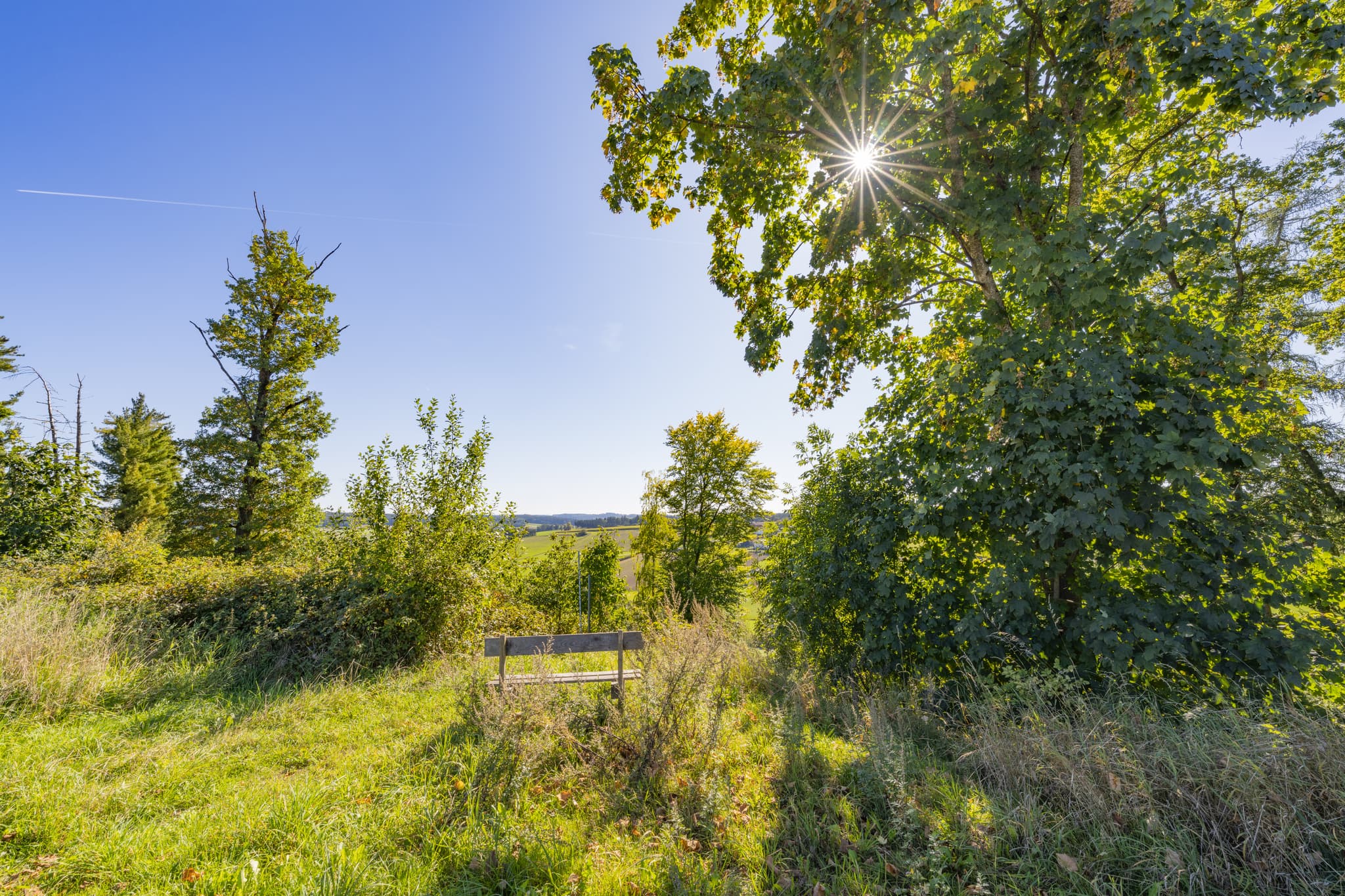 Landschaft mit Rastbank am Wanderweg 2 bei Guteneck, Johanniskirchen, Rottal-Inn, Niederbayern, Bäderdreieck in Deutschland bietet grüne Hügel und Erholung.