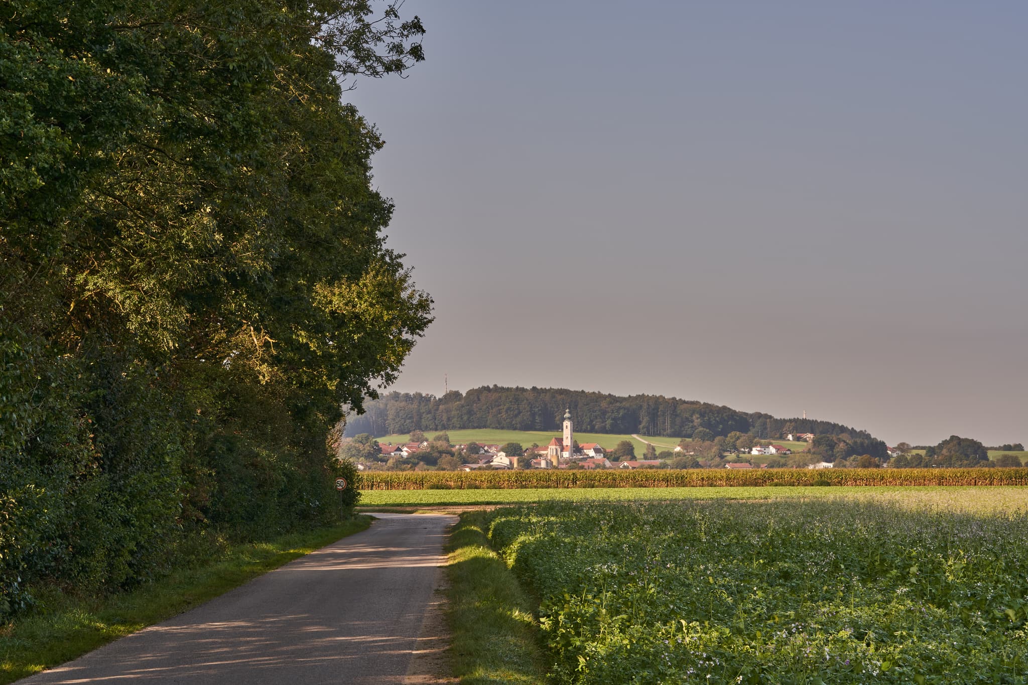 Ein Pilgerweg führt durch Felder nach Badhöring, einer malerischen Ortschaft in Mehring, Landkreis Altötting, Oberbayern, Region Inn-Salzach, Deutschland.