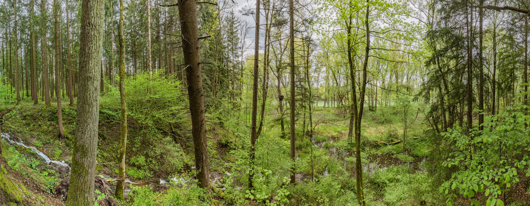 Frühlingshafte Idylle am Inn-Wasserfall in der Inn-Au bei Teising, Landkreis Altötting, Oberbayern, Inn-Salzach Region, Deutschland, Naturlandschaft.