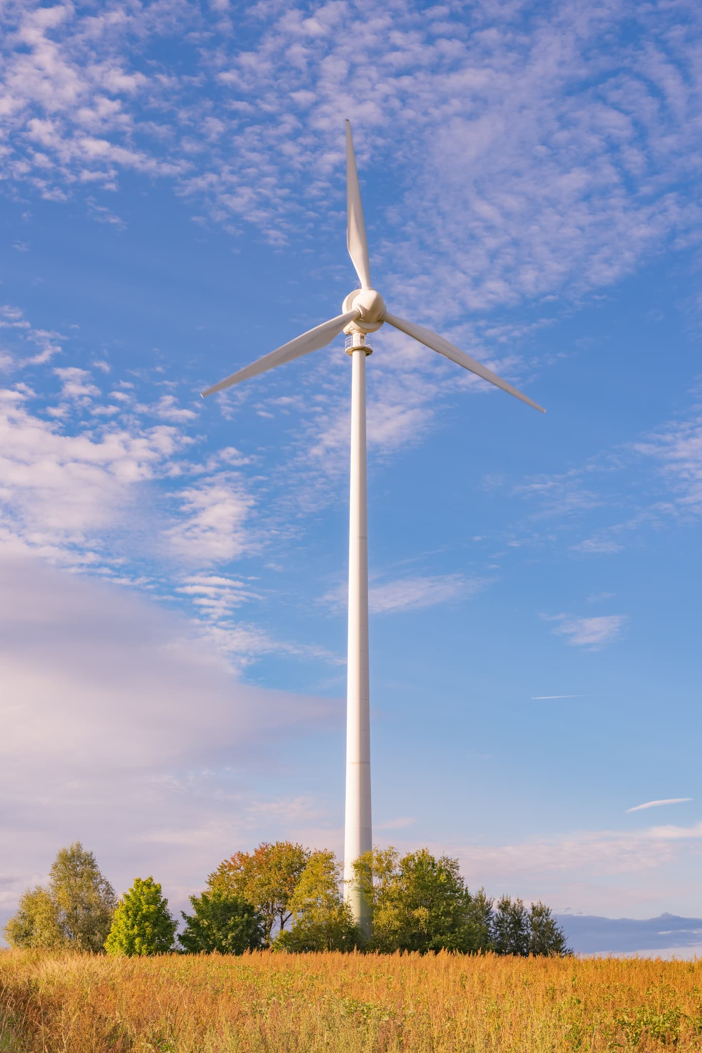 Windpark in Dirnaich, Gangkofen, Rottal-Inn, Niederbayern. Windkraftanlage im Holzland steht auf einem Feld. Nachhaltige Energie in Deutschland.
