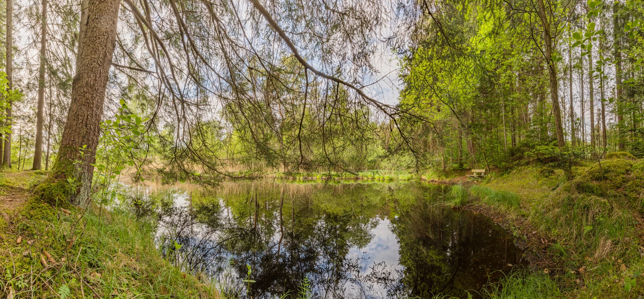 Idyllischer Moorsee am Todeiskesselweg Nr. 8 im Haager Land, Gemeinde Haag, Landkreis Mühldorf am Inn, Oberbayern. Naturlandschaft Inn-Salzach, Deutschland.