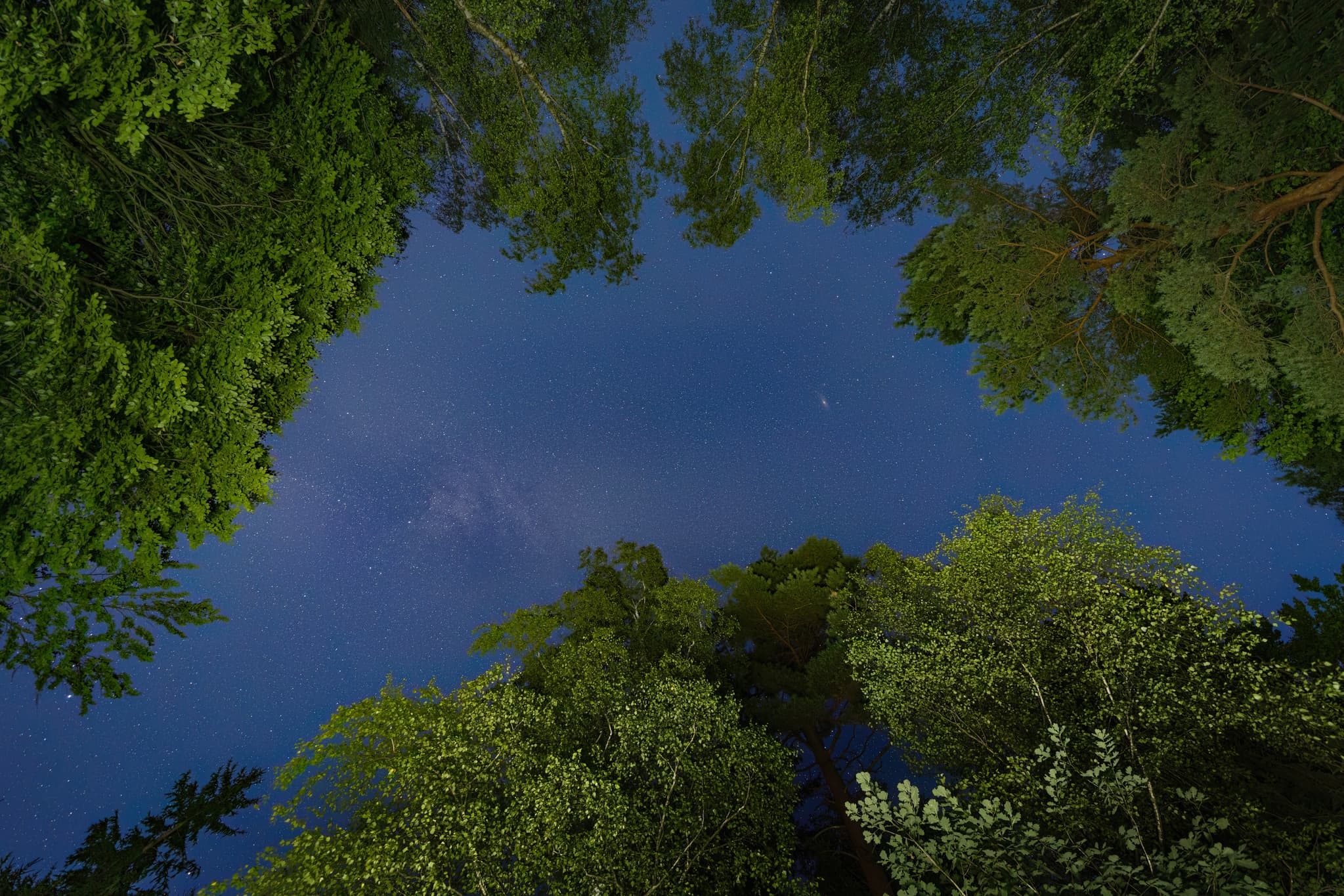 Nachtaufnahme in Bertenöd bei Stubenberg im Landkreis Rottal-Inn, Niederbayern. Sternenhimmel im Holzland / Bäderdrieck, Bayern, Deutschland.