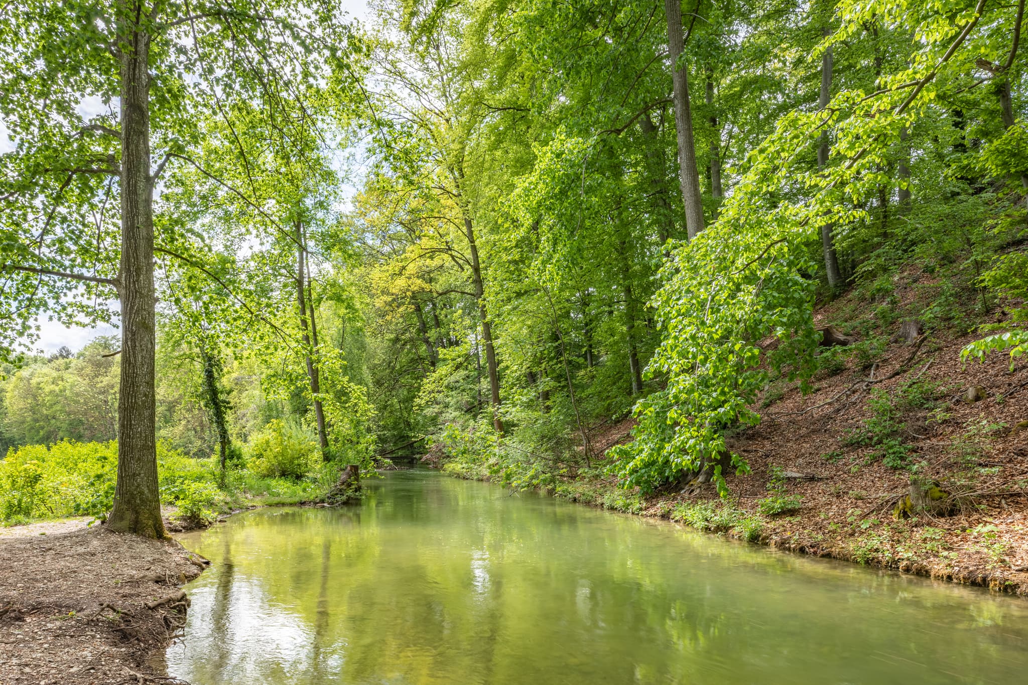 Mühlbach, umgeben von Waldlandschaft im Frühling in Garching, Landkreis Altötting, Oberbayern. Eine naturnahe Szene in der Region Inn-Salzach, Deutschland.