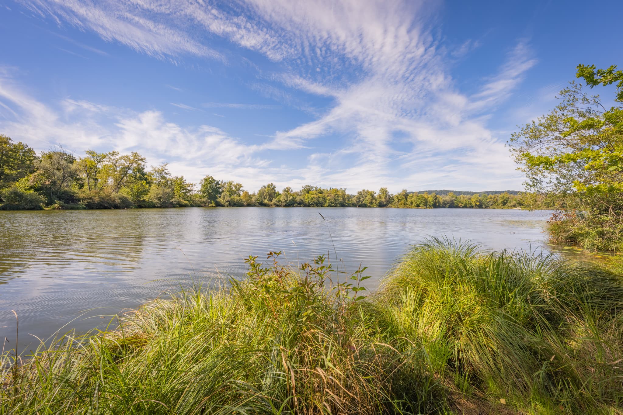 Waldsee nahe Kirchdorf am Inn, im Landkreis Rottal-Inn, Niederbayern. Badesee Simbach im Bäderdreieck in Deutschland zeigt sich im Sommer mit grünen Ufern.