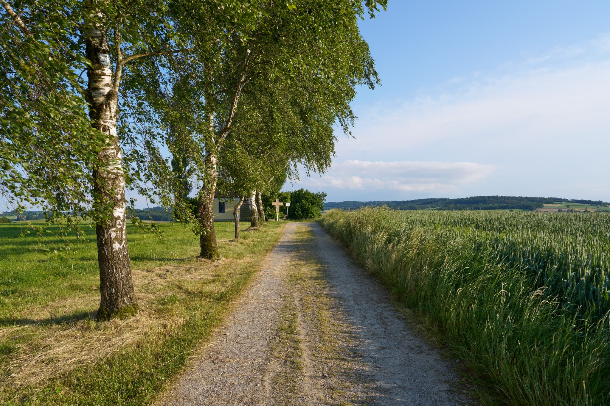 Zufahrt zur idyllischen St. Koloman-Kapelle bei Zell, Ortenburg, im Landkreis Passau, Niederbayern. Diese malerische Szene in der Region Donau-Wald.