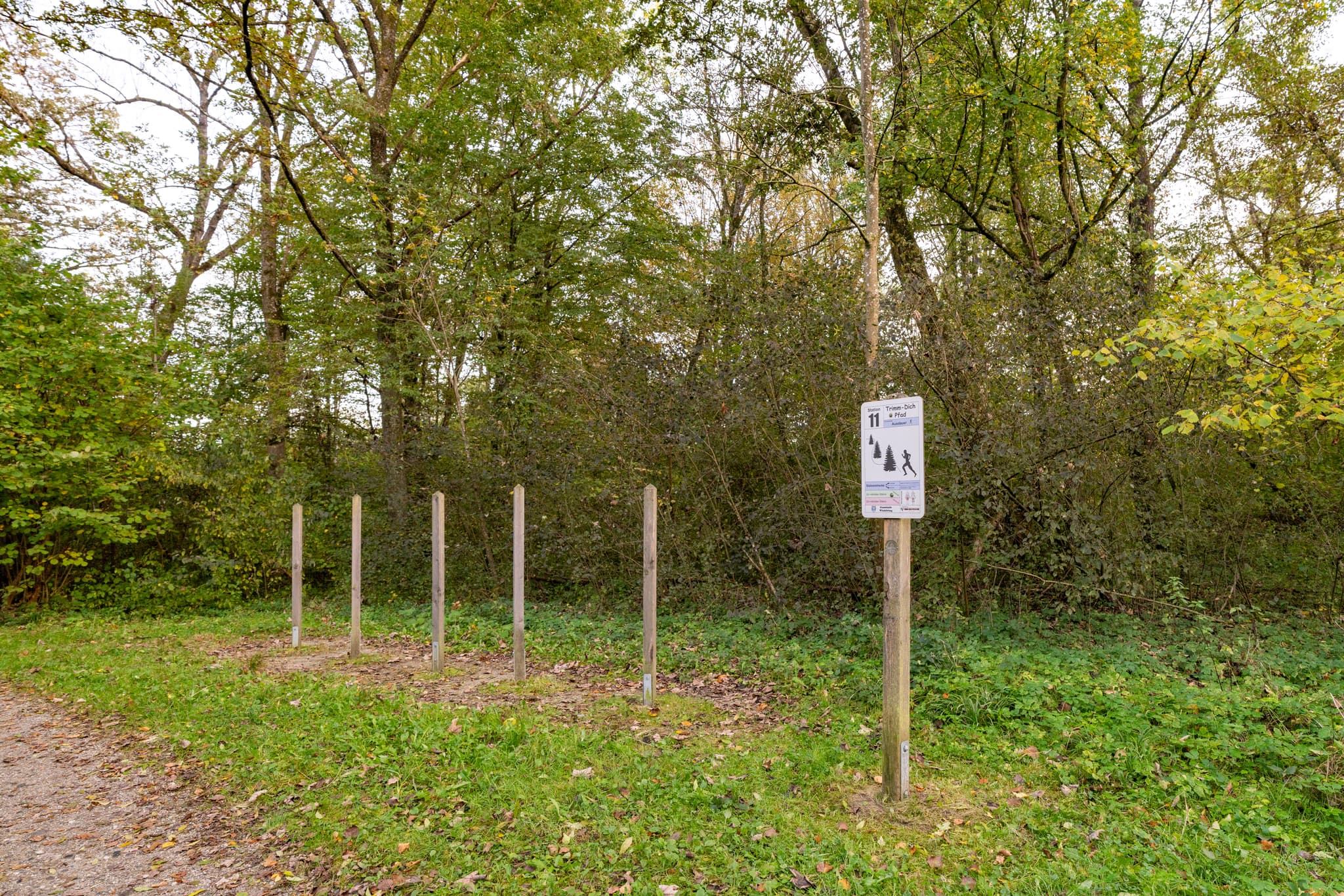 Slalomlauf am Trimm-dich-Pfad in Winhöring, Landkreis Altötting, Oberbayern, Deutschland. Der Pfad liegt im Wald and er Isen in der Region Inn-Salzach.