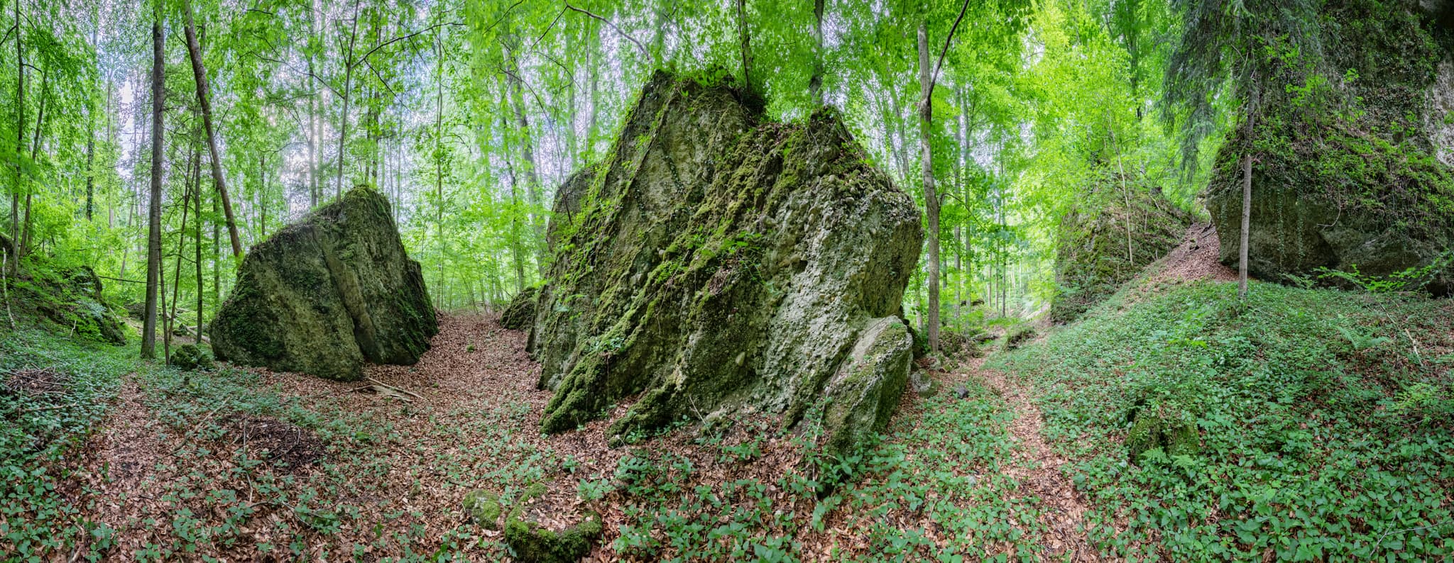 Beeindruckende Tuffsteinformationen im Wald am Schlossberg bei Garching, Altötting, Oberbayern, Deutschland. Ein Naturerlebnis in der Region Inn-Salzach.