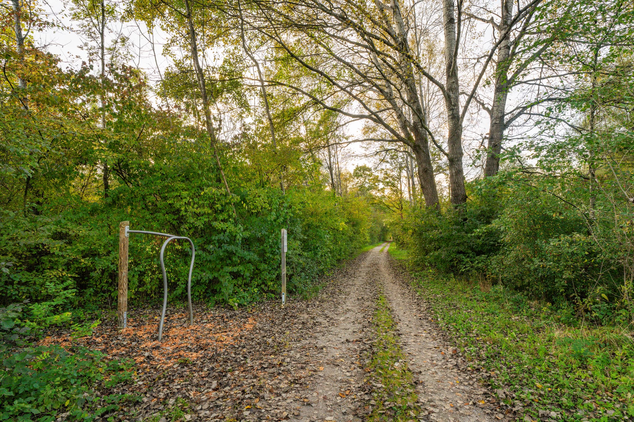 Naturnaher Trimm-dich-Pfad durch grüne Waldgebiete bei Winhöring im Landkreis Altötting, Oberbayern, Region Inn-Salzach, Deutschland.