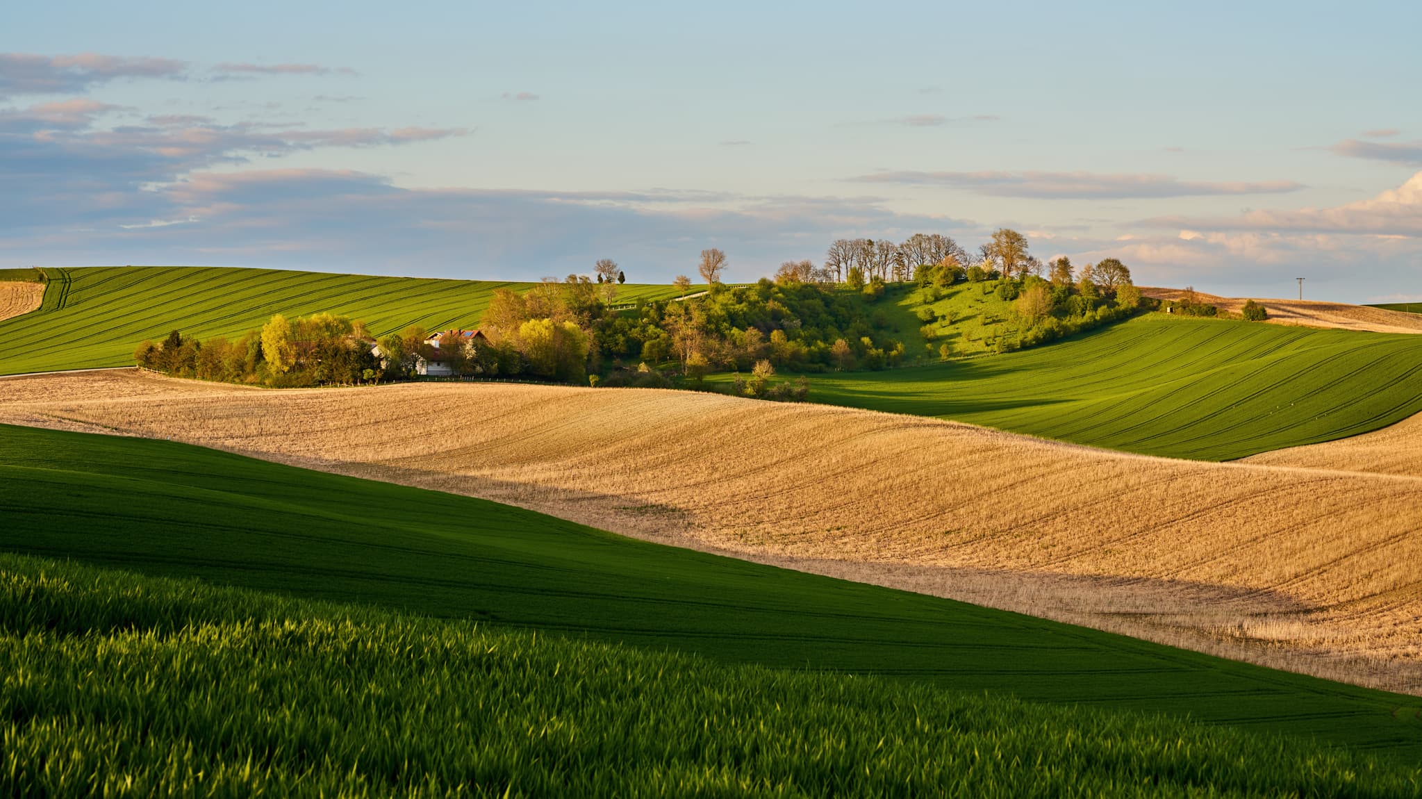 Die malerische Hügellandschaft bei Karpfham im Landkreis Passau, Niederbayern, Deutschland. Eine idyllische Szene mit weiten Feldern.