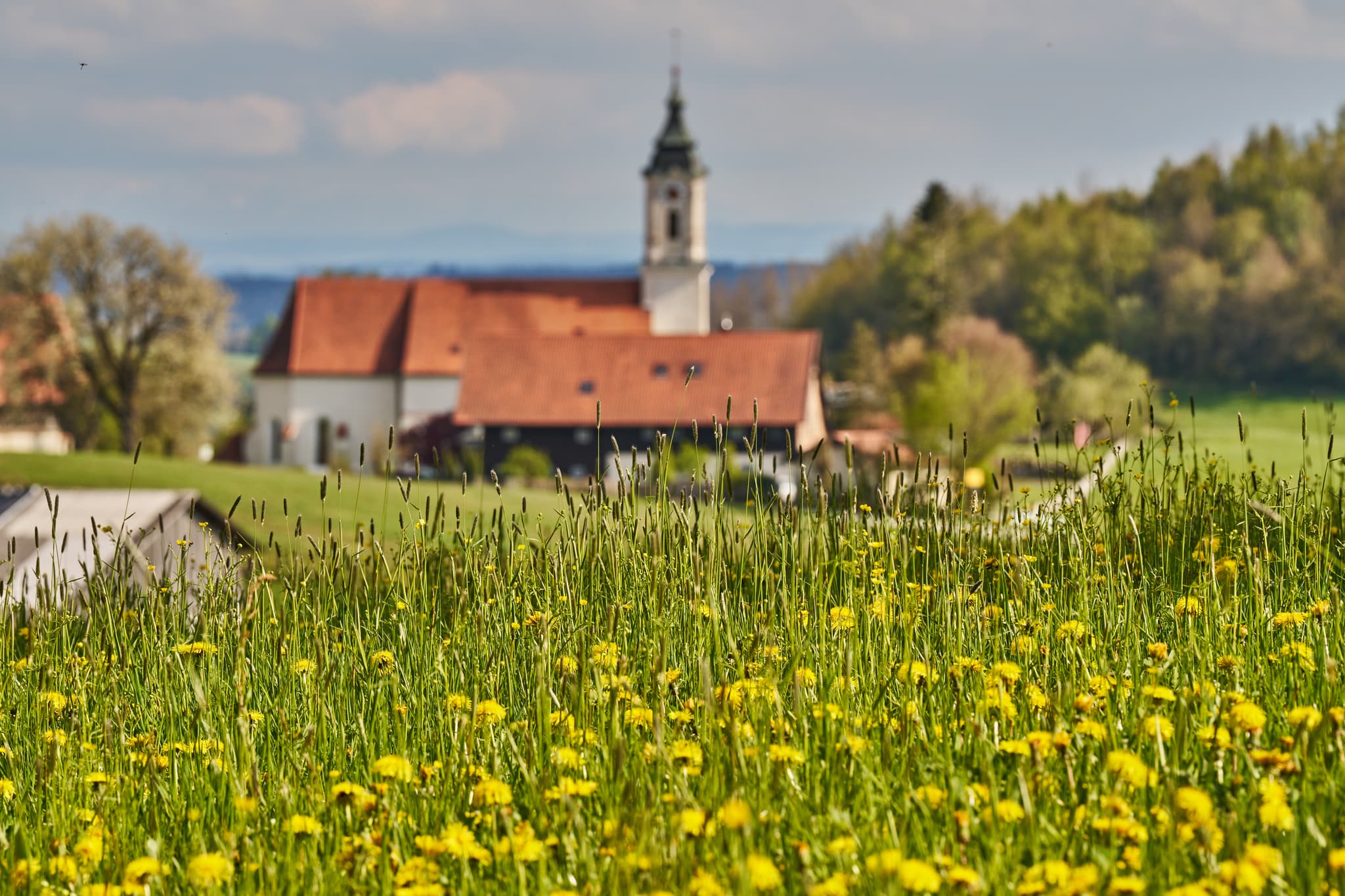 Entdecken Sie St. Wolfgang im Frühling in Bad Griebsach, Landkreis Passau, Niederbayern. Eine malerische Frühlingslandschaft.