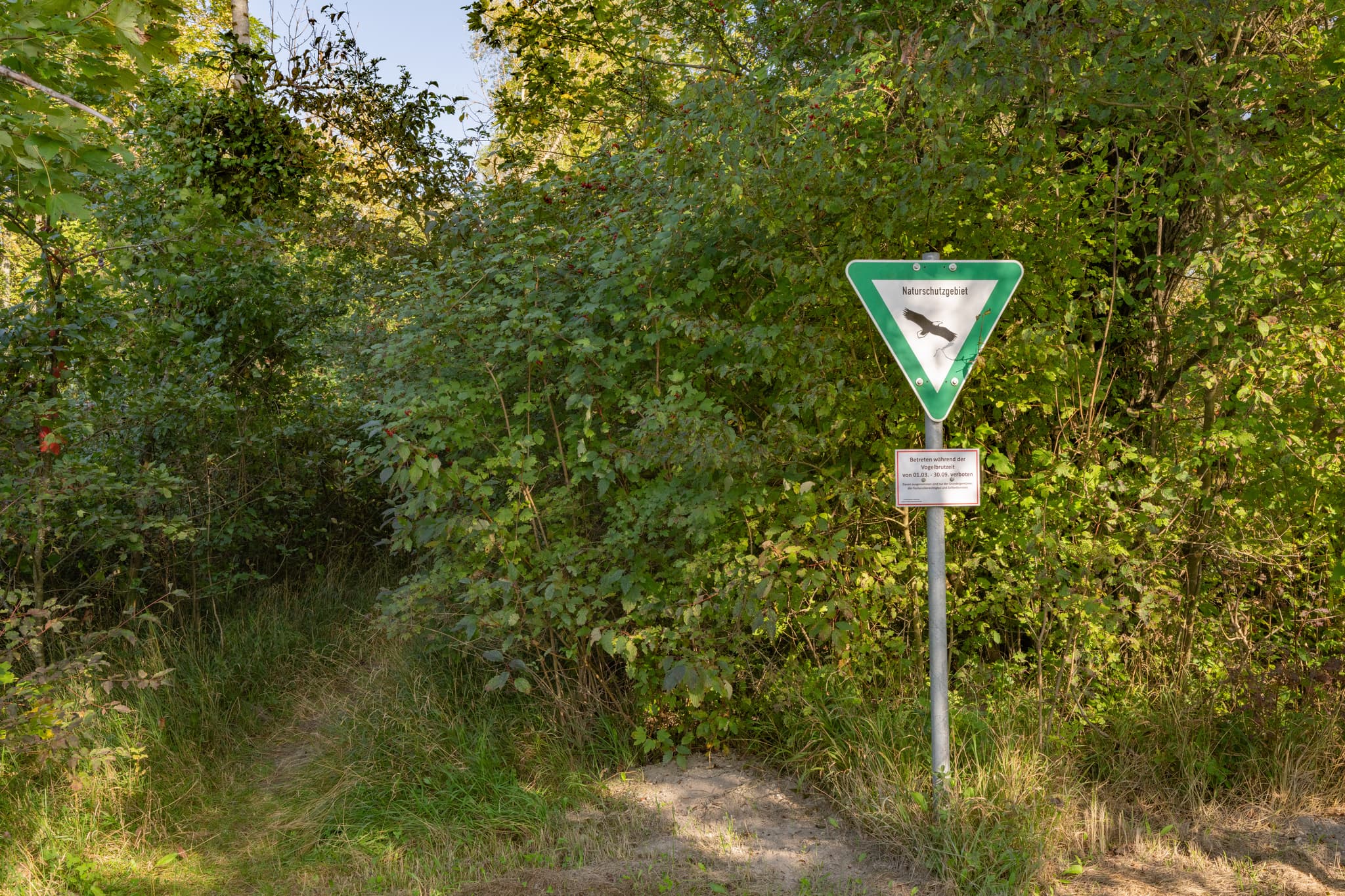 Naturschutzgebiet Innspitz, Haiming, Altötting, Oberbayern. Grüne Landschaft der Inn-Salzach Region, Deutschland, mit dichtem Bewuchs und Pfad.