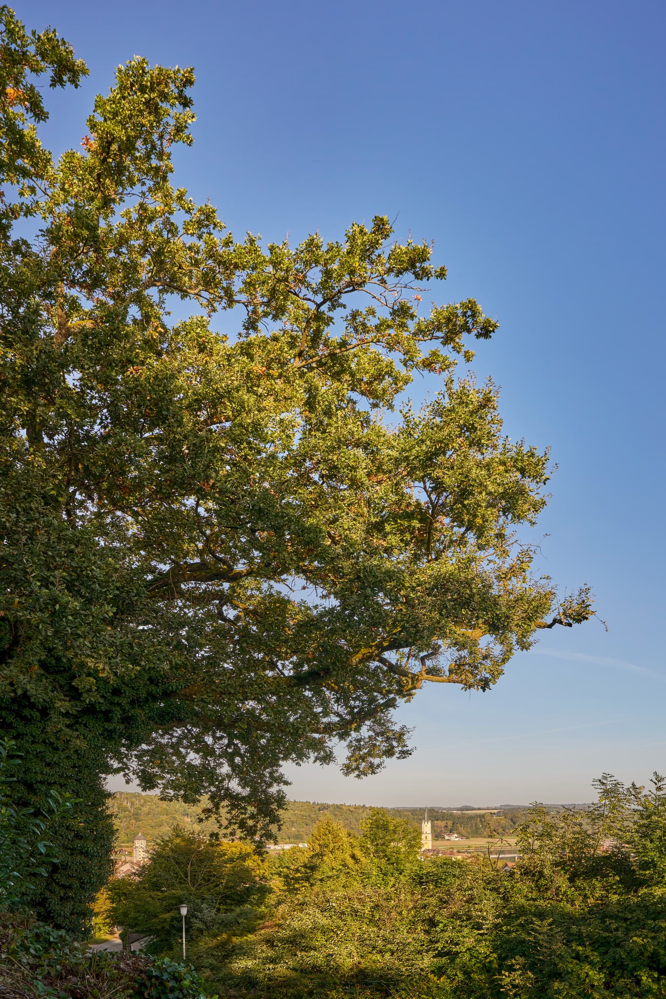 Blick vom Mühlberg, Schweiklberg in Vislhofen, Landkreis Passau, Niederbayern. Umgeben von der naturbelassenen Landschaft des Bayerischen Waldes in Deutschland.
