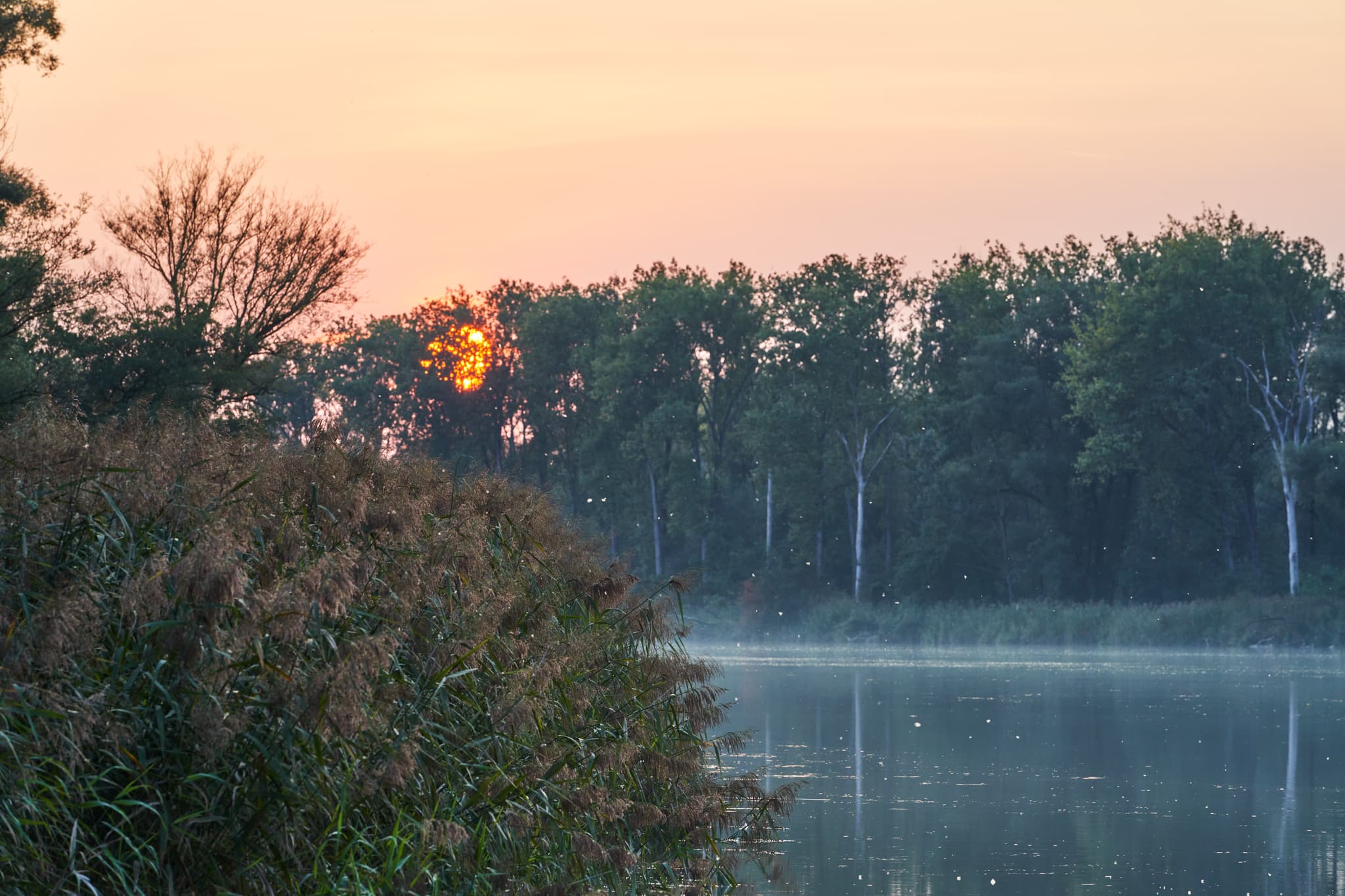 Abendstimmung am Inn beim Bootsanleger in Altötting im Landkreis Altötting, Oberbayern, Landschaft der Inn-Salzach Region in Deutschland.