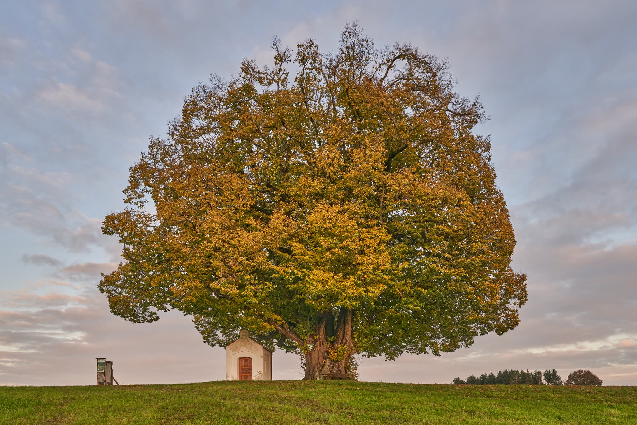 Herbstliche Stimmung an der Kapellenlinde auf dem Berg bei Perach, Landkreis Altötting, Oberbayern. Die Inn-Salzach Region in Deutschland zeigt ihre Schönheit.