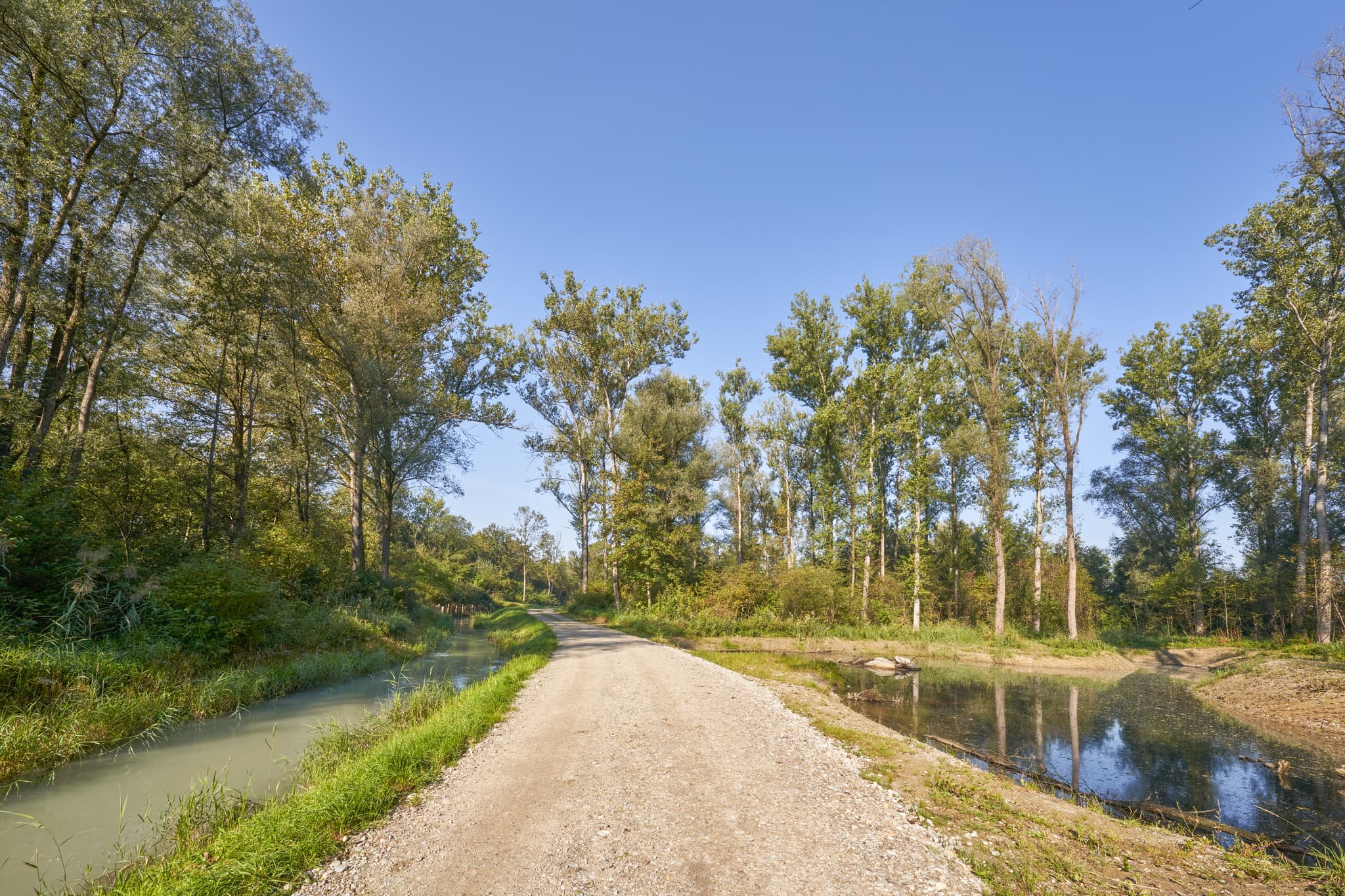 Ein idyllischer Waldweg im Landkreis Altötting, Oberbayern, Deutschland. Weg entlang des Fischbachs nahe des Inns B299 bei Neuötting in der Region Inn-Salzach.