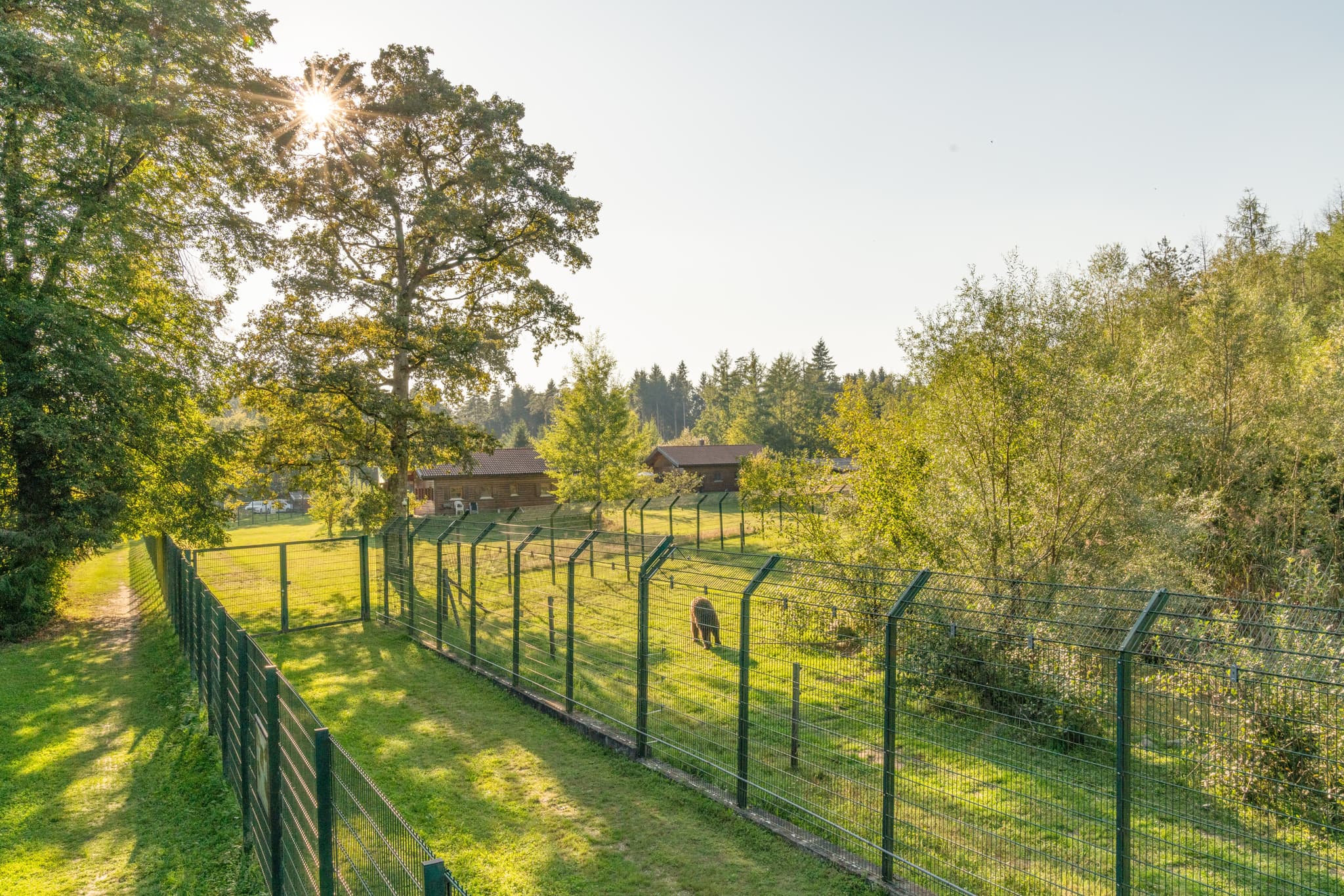 Gnadenhof für Bären in Aigen am Inn, Bad Füssing, Passau, Niederbayern, Deutschland. Zeigt Gehege in grüner Landschaft des Bayerischen Waldes unter der Sonne.