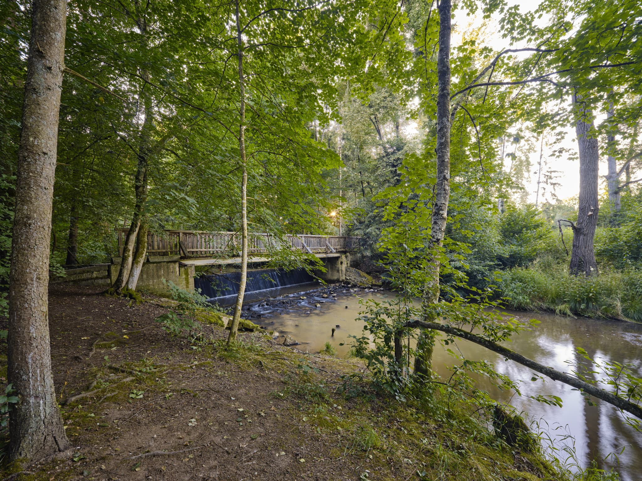 Holzbrücke im Lichtlberger Wald, Gern, Eggenfelden, Rottal-Inn, Niederbayern, Deutschland. Natürliche Waldlandschaft mit Bach und Wasserfall im letzten Licht.