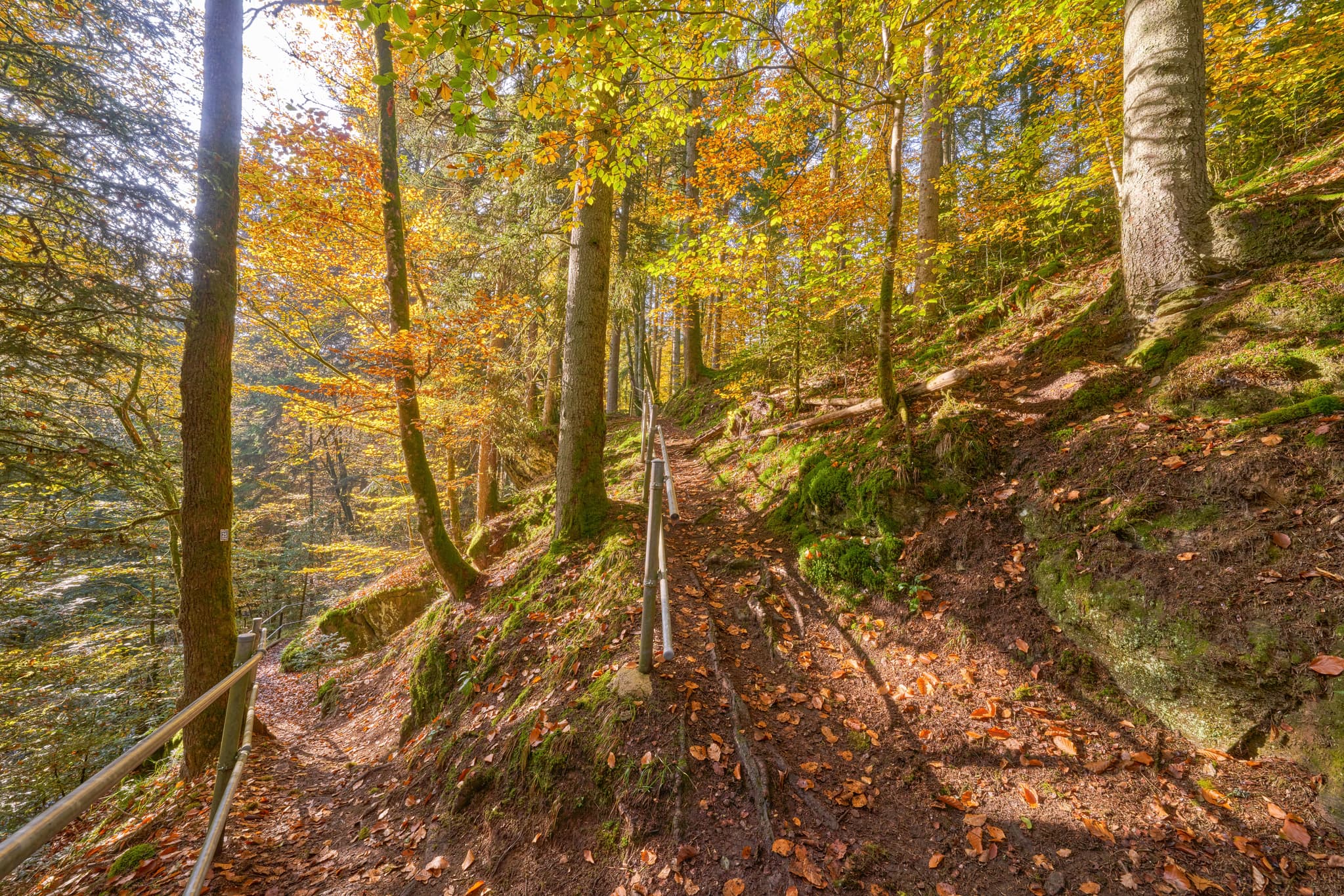 Herbstlicher Wanderweg im Erlautal bei Erlau, Obernzell, Landkreis Passau, Niederbayern. Pfad im Donau-Wald, Deutschland, mit Herbstlaub.