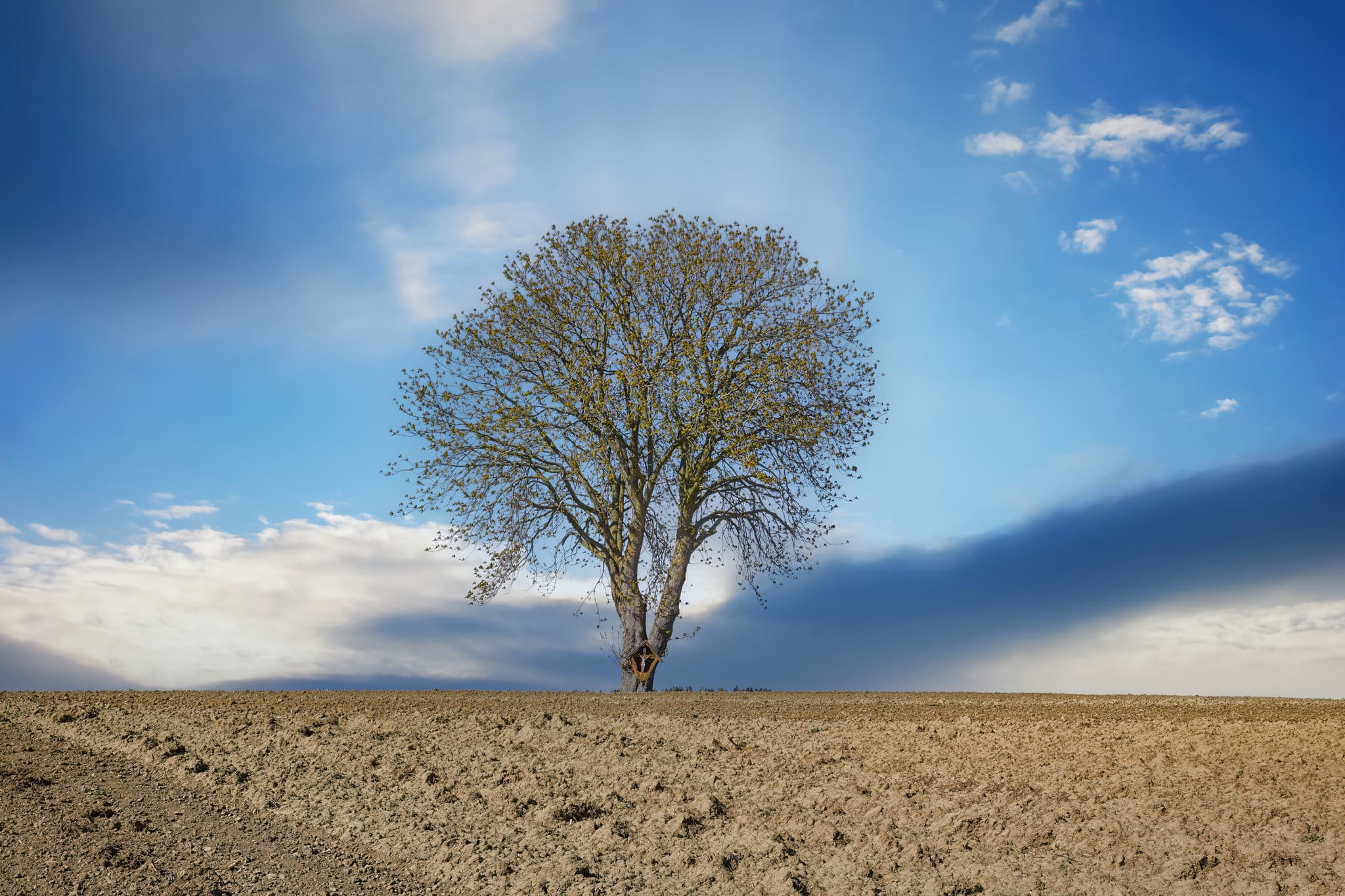 Einzelner Baum mit Kreuz auf Ackerfeld in Birnbach bei Erlbach. Landkreis Altötting, Oberbayern, Inn-Salzach, Deutschland. Weite Landschaft mit blauem Himmel.