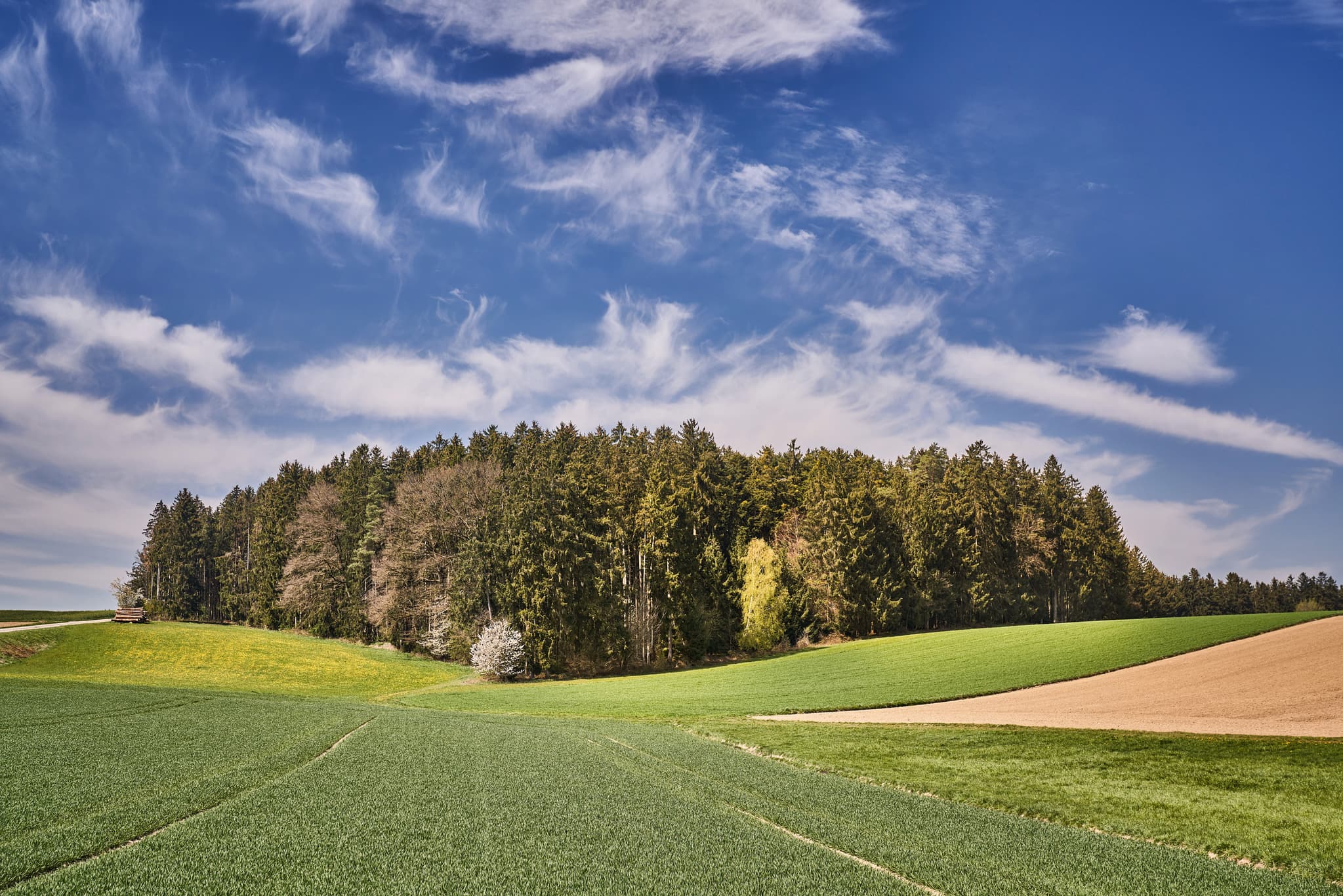 Idyllische Landschaftsaufnahme zwischen Kirchisen und Kainrading mit Feldern und Wald bei Mettenheim im Landkreis Mühldorf am Inn, Oberbayern.
