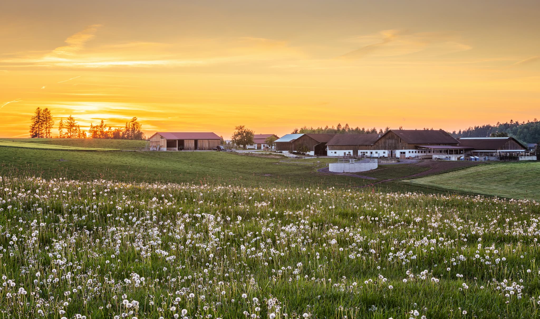 Idyllischer Bauernhof in Hummelsberg bei Sonnenuntergang. Niederbayern, Landkreis Rottal-Inn, Deutschland. Wunderschöne Naturlandschaft.