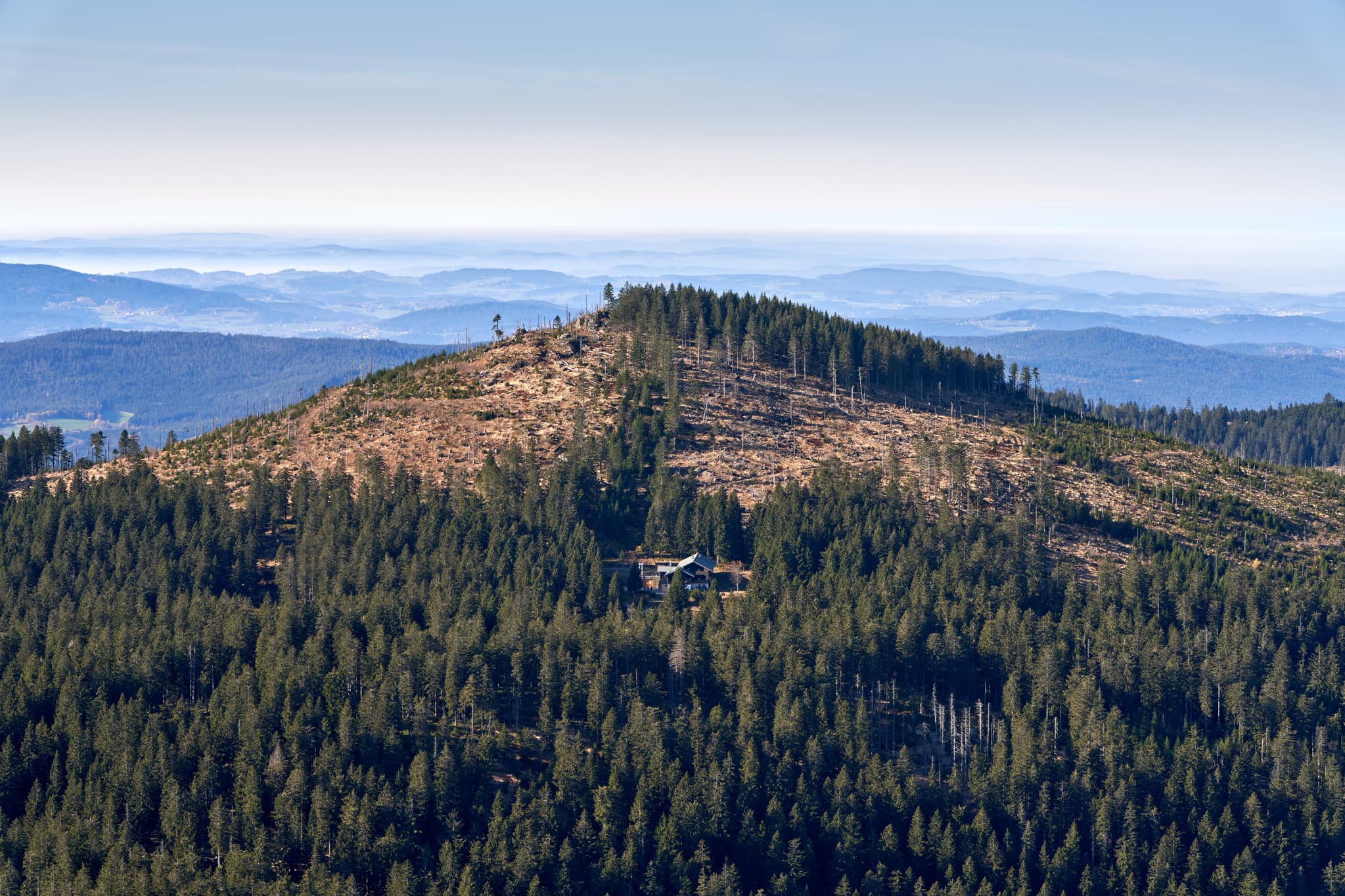 Blick von Großer Arber auf den Kleiner Arber bei Bodenmais, Landkreis Regen. Die weite Waldlandschaft im Bayerischen Wald, Niederbayern, Deutschland.