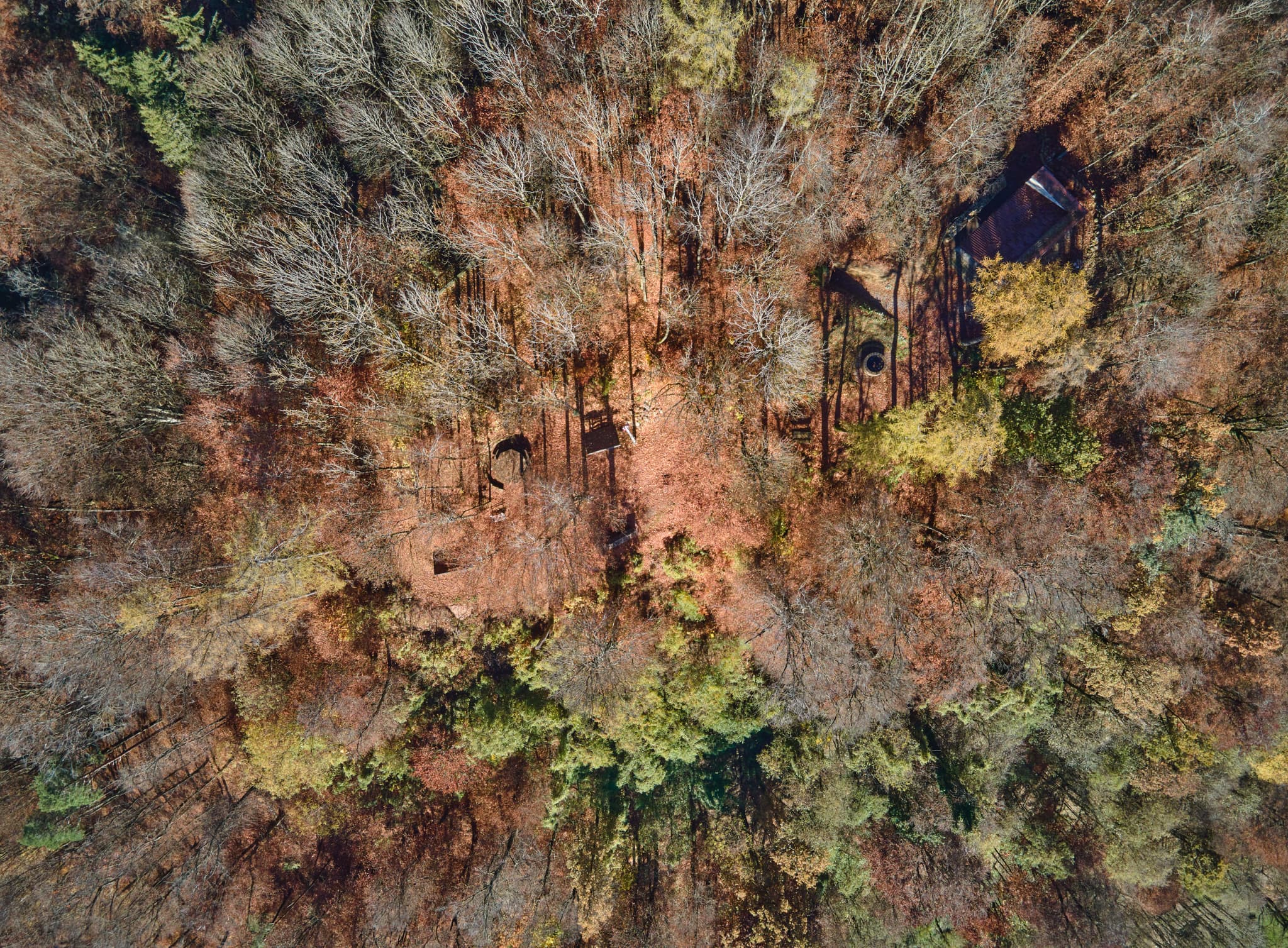 Herbstliches Luftbild, Waldlandschaft am Schlossberg bei Julbach, Landkreis Rottal-Inn, Niederbayern, Holzland/Bäderdreieck, Bayern, Deutschland.