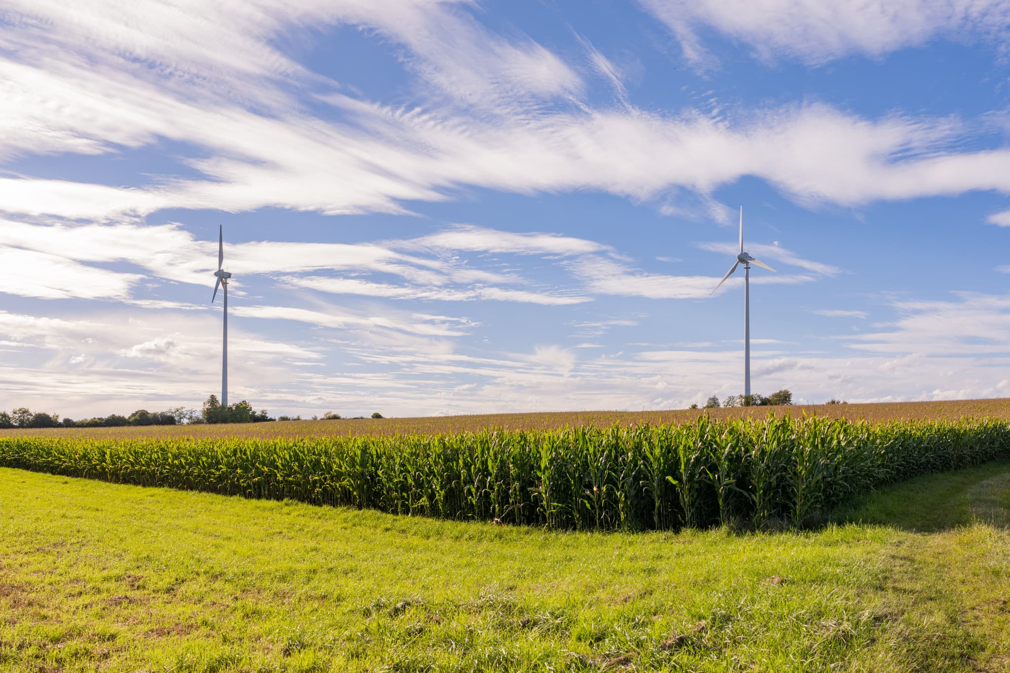 Zwei Windräder in einem Maisfeld unter bewölktem Himmel in Dirnaich, Gangkofen, Rottal-Inn, Niederbayern, Deutschland. Nachhaltige Energie im Holzland.
