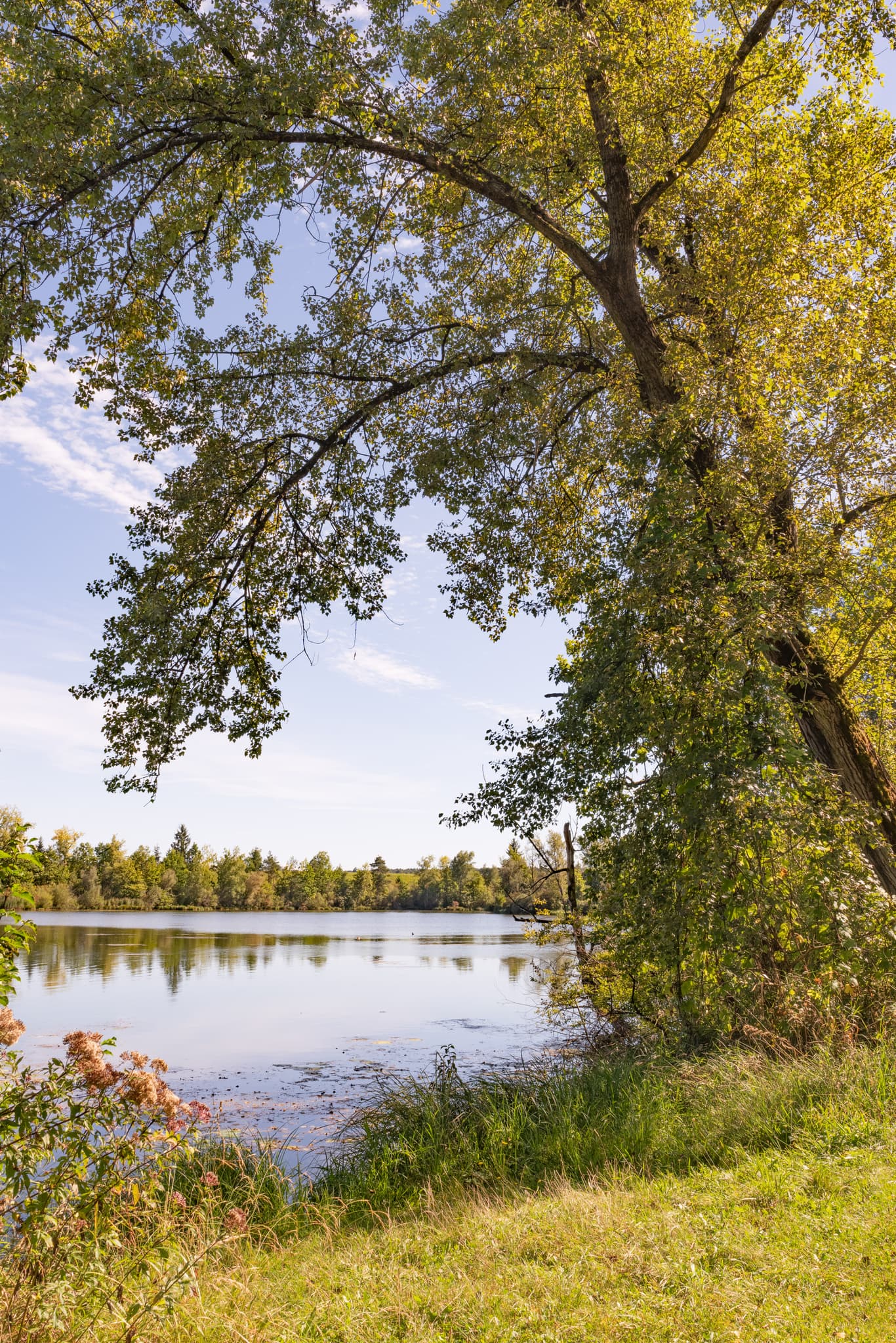 Malerischer Waldsee Lago Sommer bei Kirchdorf am Inn, Landkreis Rottal-Inn, Niederbayern. Idyllischer Badesee Simbach in der Naturregion Holzland, Deutschland.