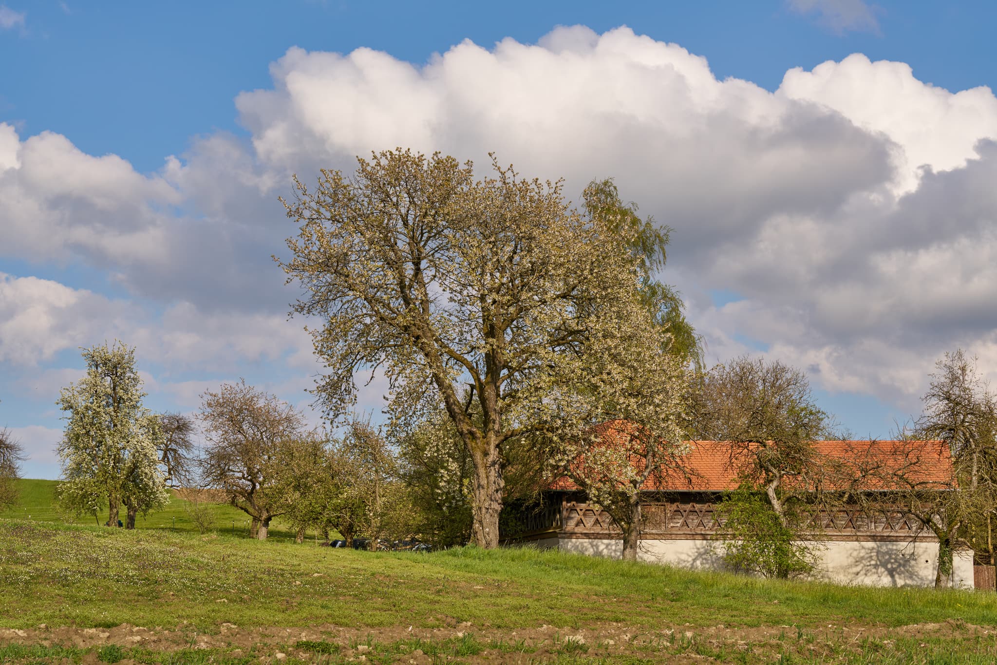 Frühlingserwachen in Bad Griebsach bei St. Wolfgang, Landkreis Passau, Niederbayern. Eine idyllische Landschaft.
