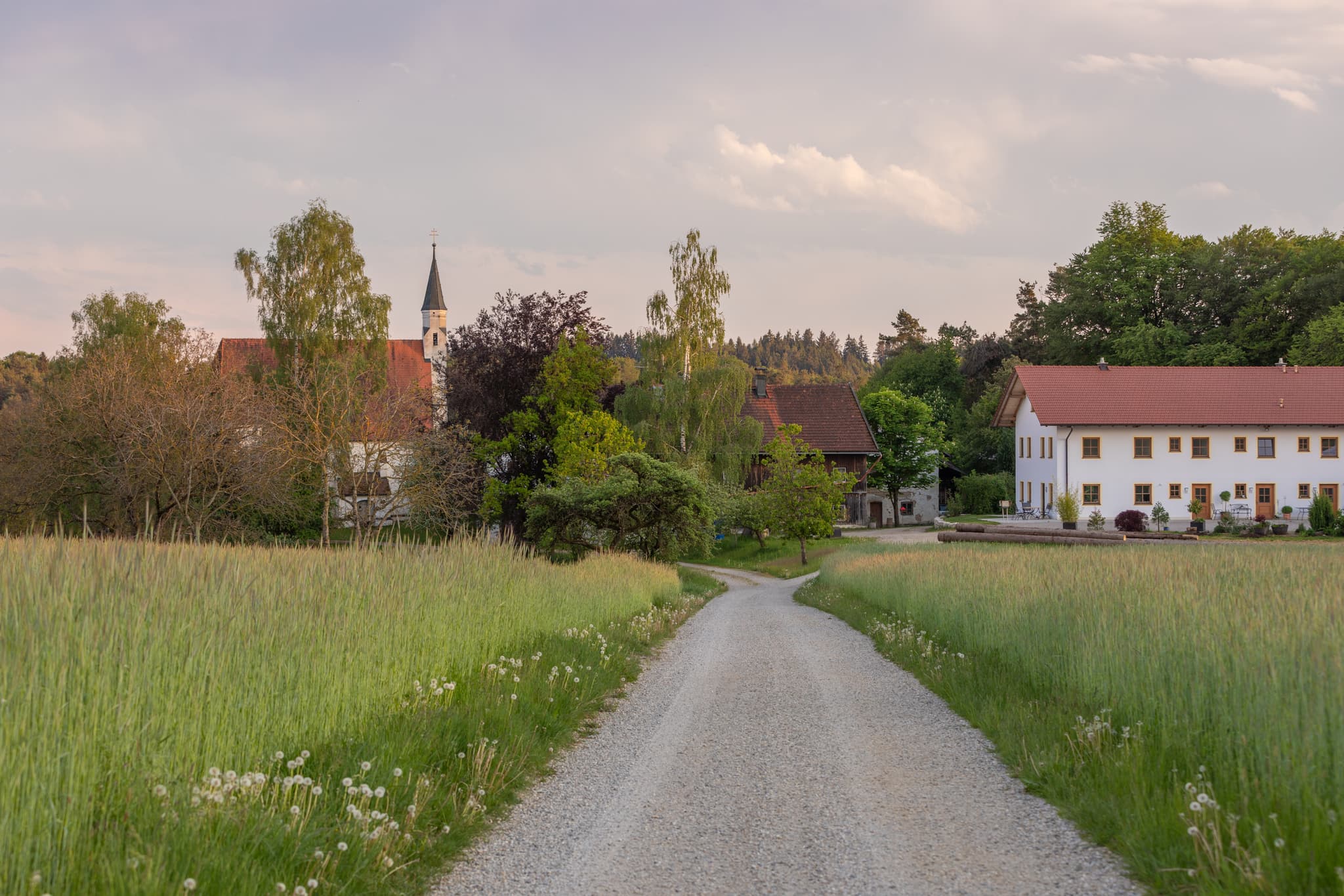 Idyllisches Bild der Kirche Sankt Kolomann in Reischach, Kirchhaunberg im Landkreis Altötting, Oberbayern, Inn-Salzach, Deutschland.