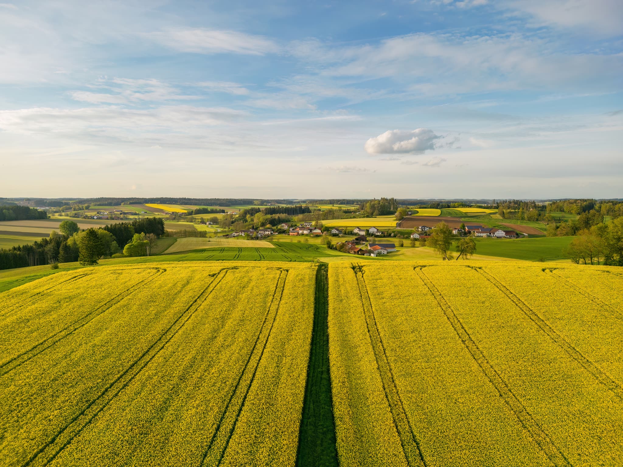 Rapsfelder bei Arbing, Reischach, Landkreis Altötting, Oberbayern, Inn-Salzach, Deutschland. Blühende Landschaft mit Hügeln, Feldern am Biberg und Holzham.
