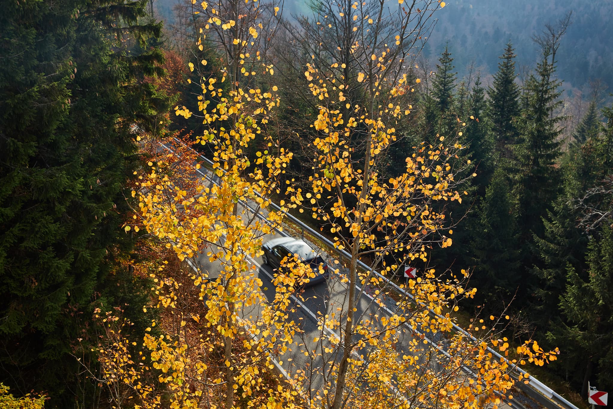 Der Kleine Arbersee in Lohberg, Landkreis Cham, Oberpfalz. Ruhiges Wasser und bewaldete Ufer mit Herbstlaub spiegeln sich.